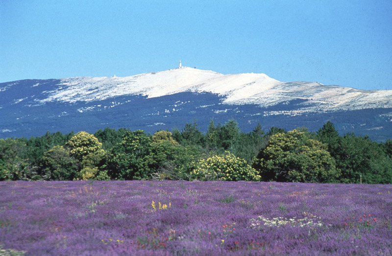 A stopover in Provence