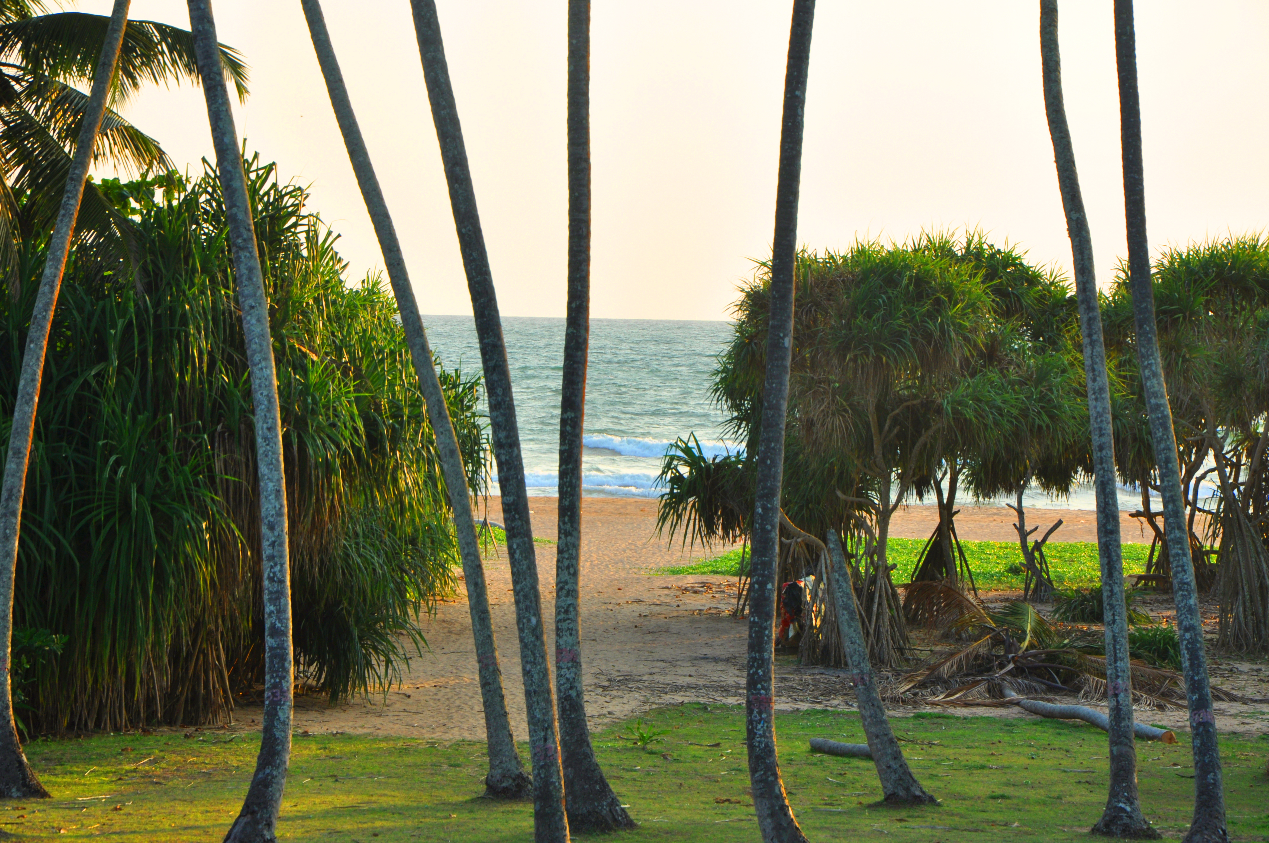 Deluxe Rooms with Superior Sea View & Balcony