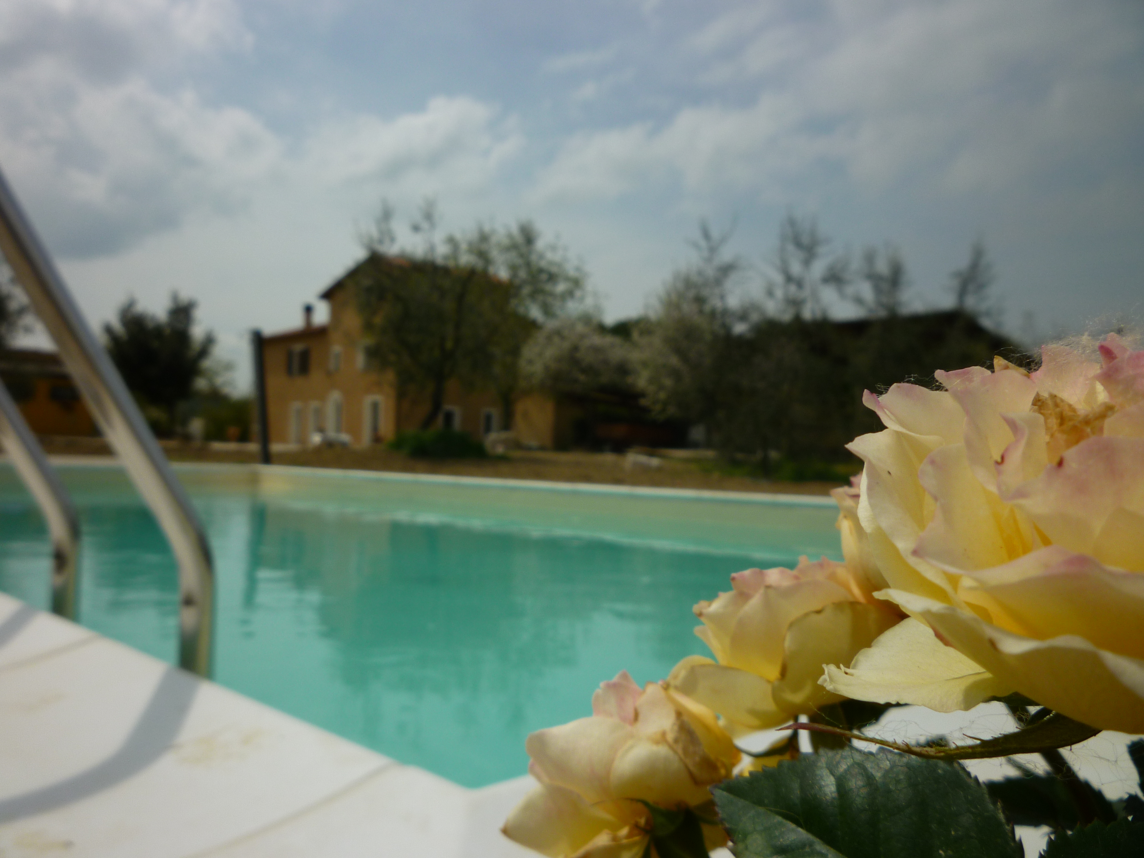 farm on the Hills - pool/jacuzzi - girasole