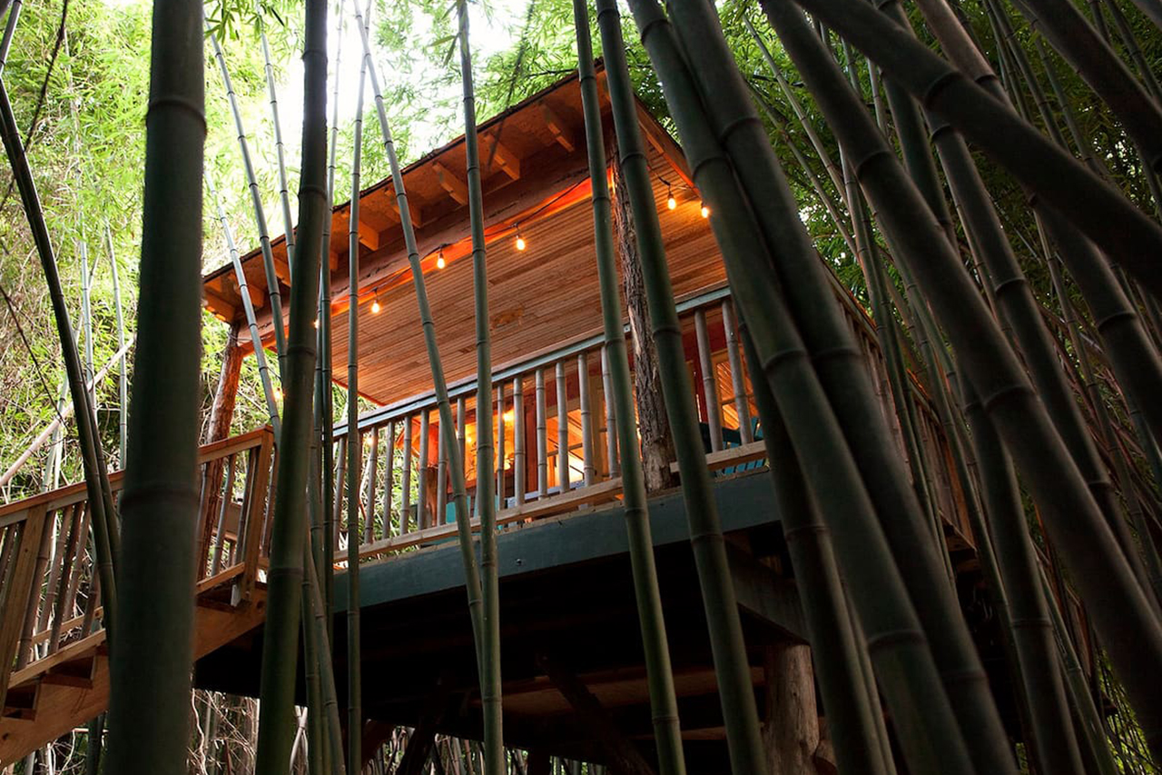 Treehouse Rentals Airbnb
