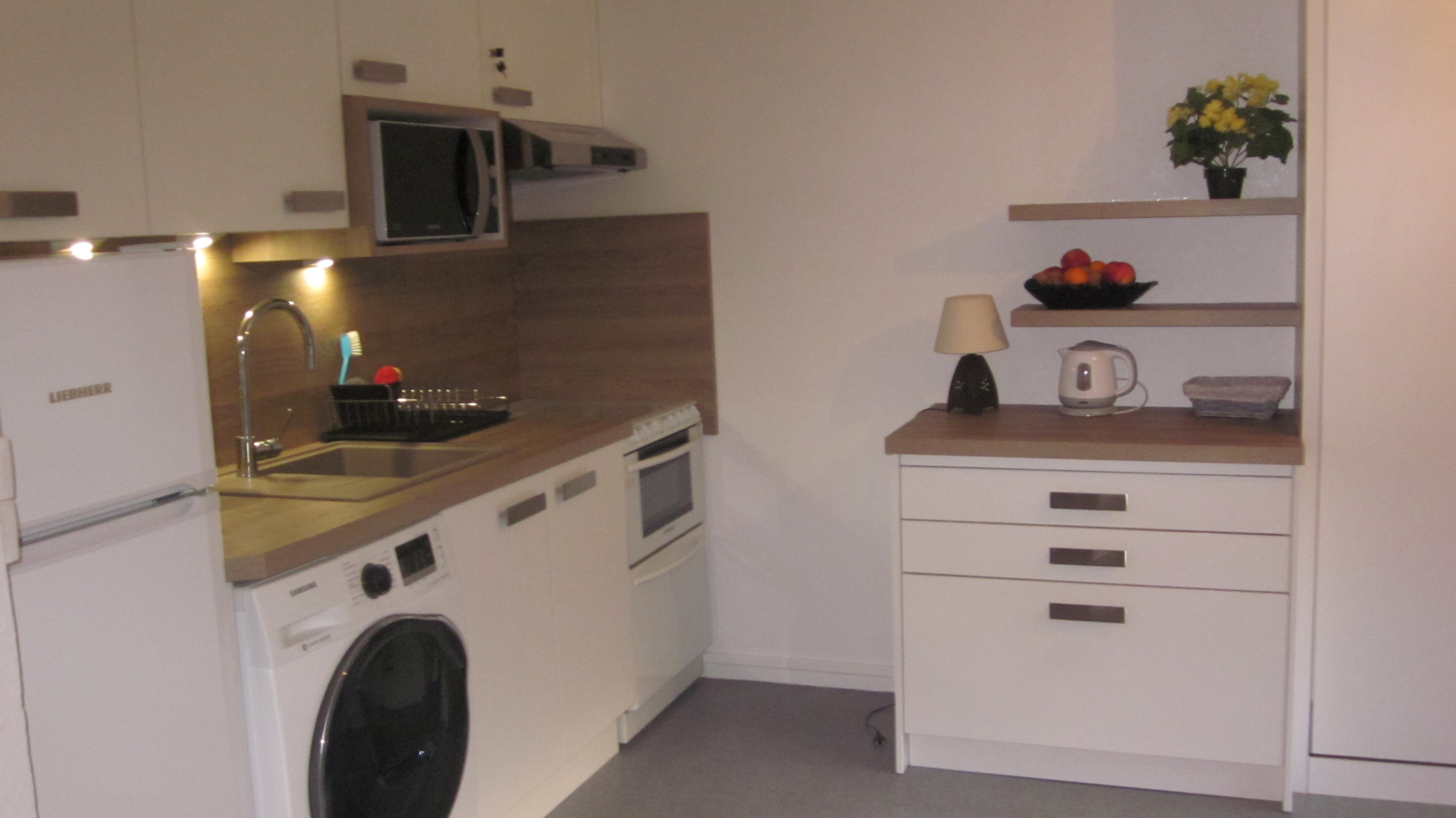 lovely apartment in the Vallee du Sancy