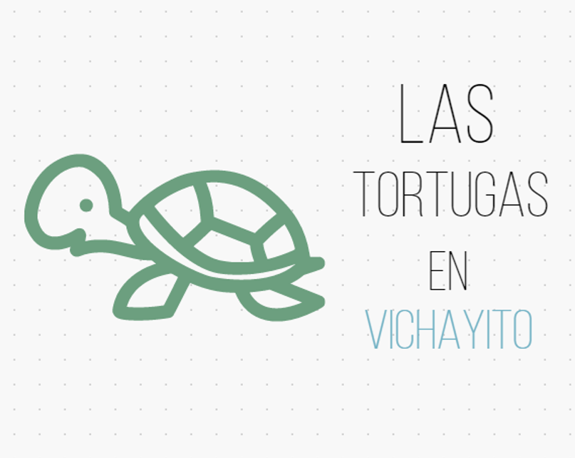 Las Tortugas in Vichayito ( Peace & Nature )