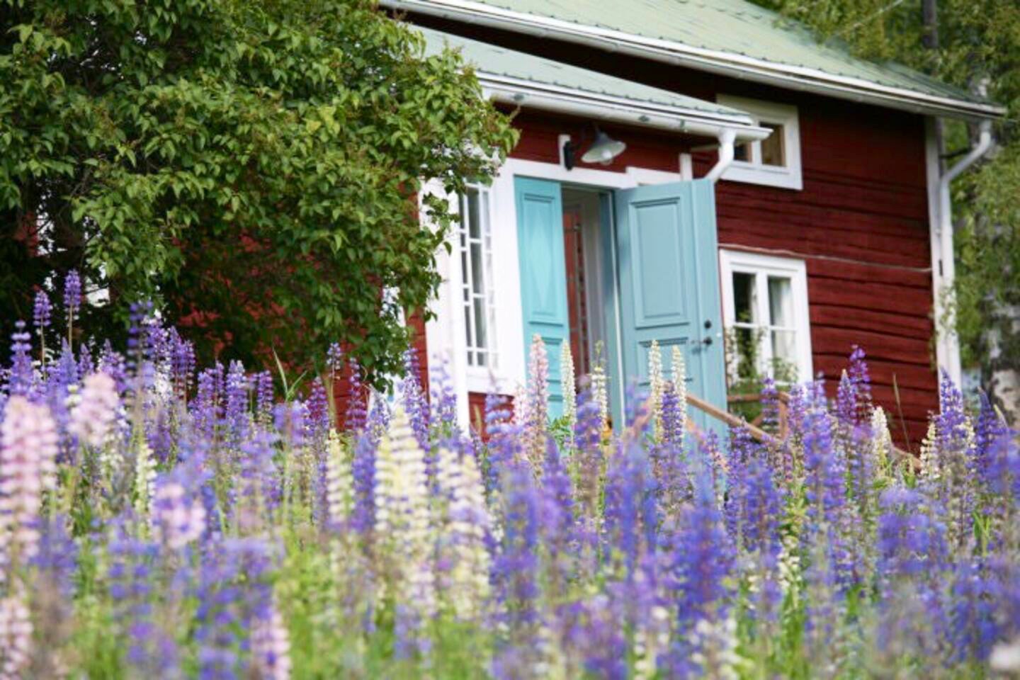 Charming, personal & undisturbed near Järvsö