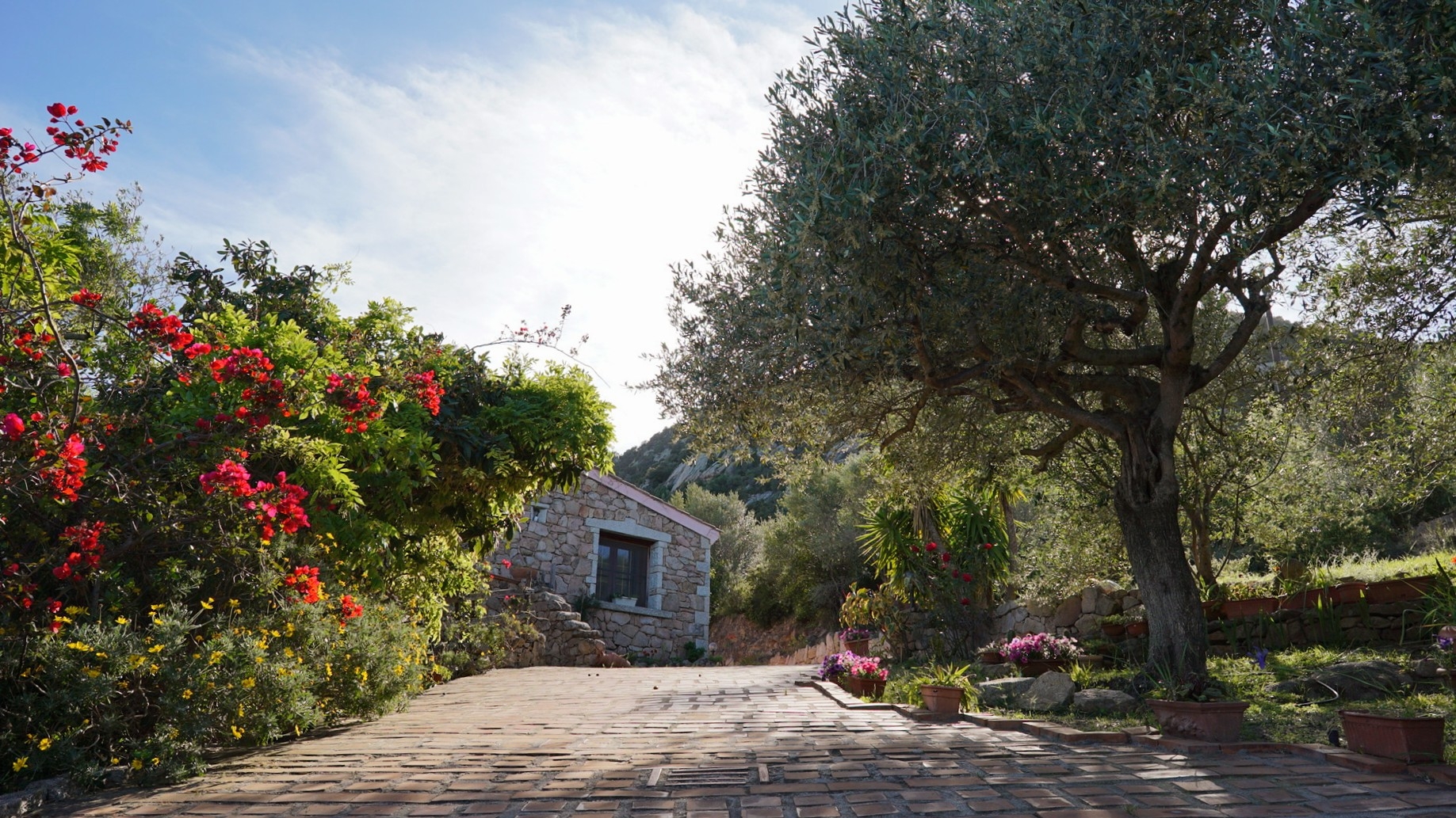 Villa Montalmutu.
Villa with sea view with parking