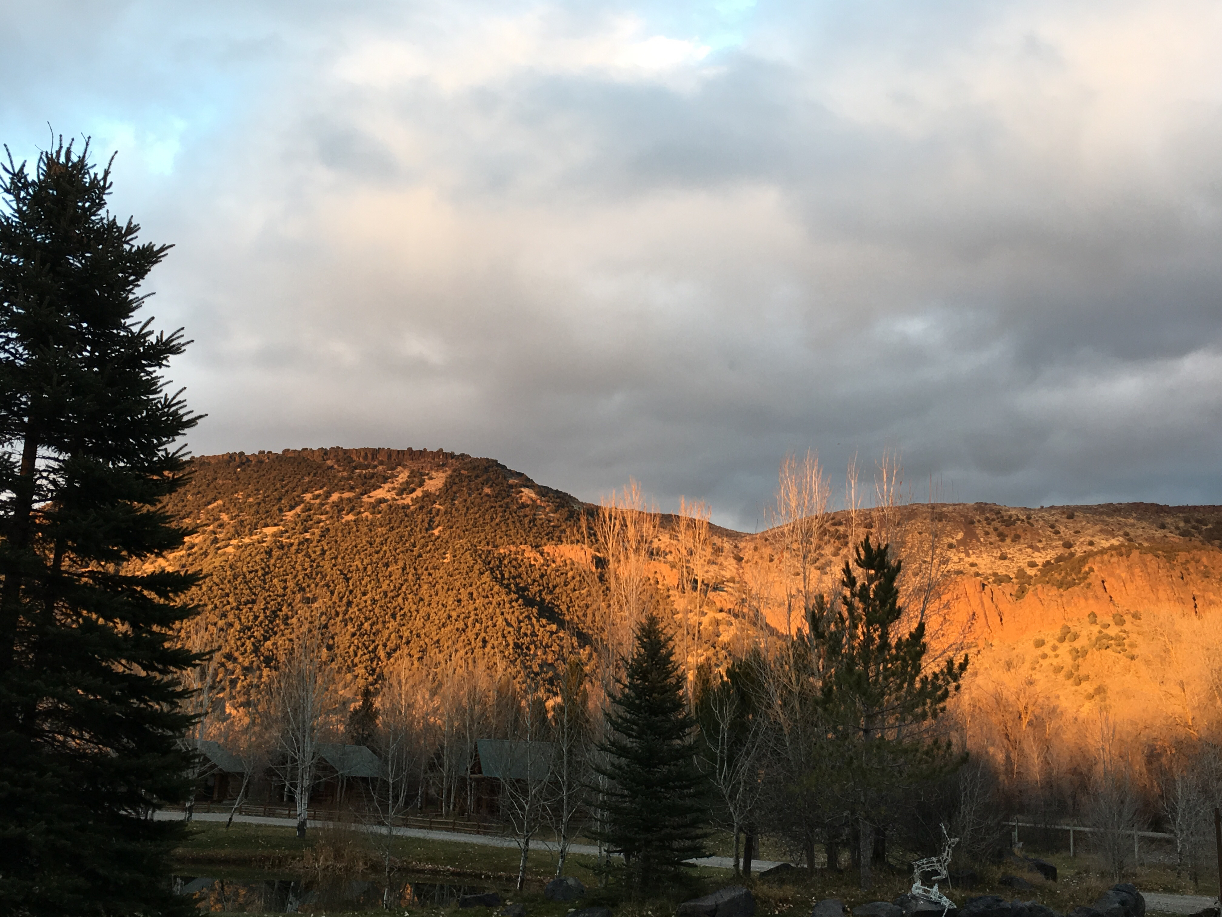 Here We Have Idaho Yurt; slps 4 w great kitchen - Tents for