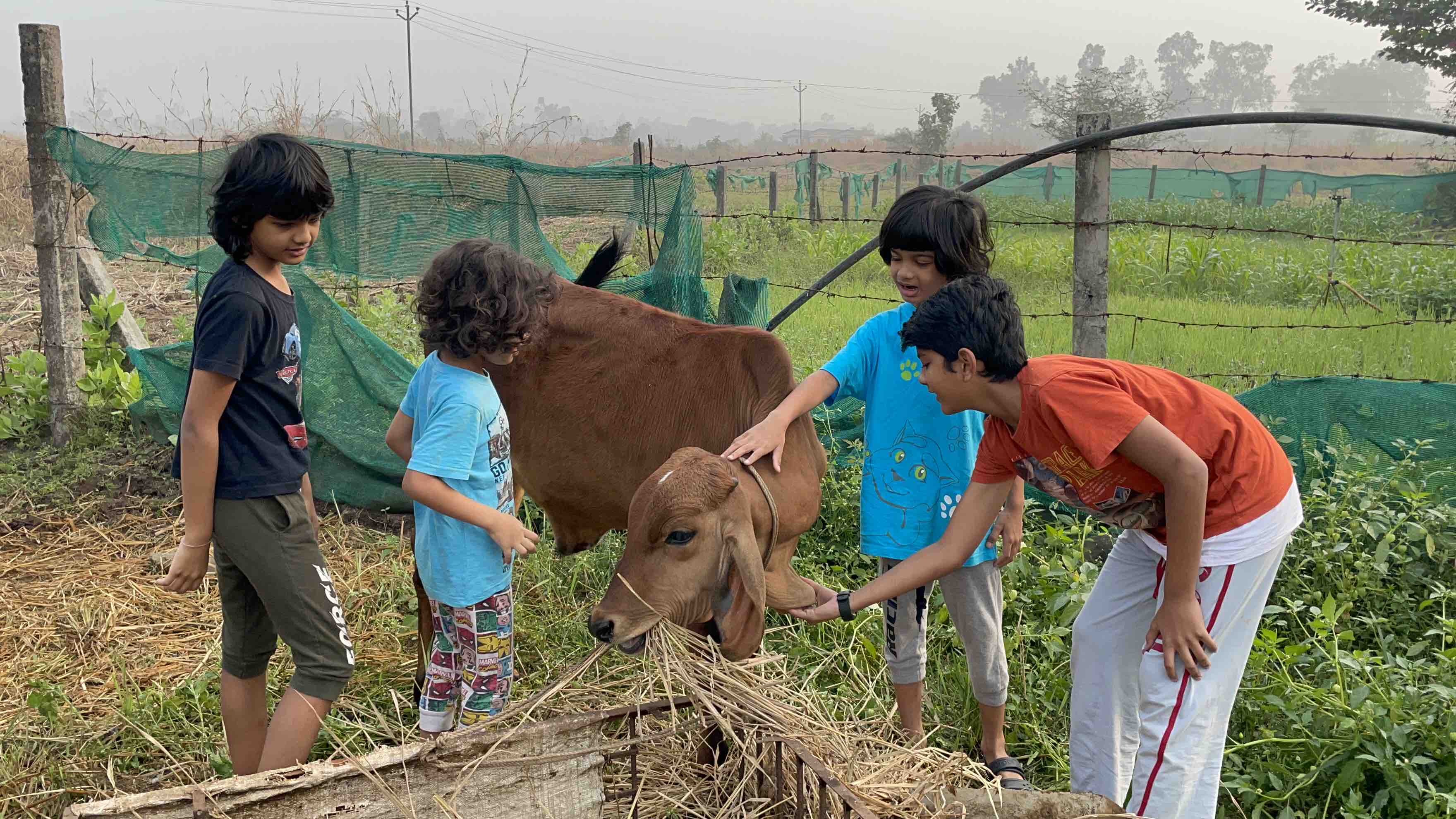Live & Learn - In A Sustainable Organic Farm Stay