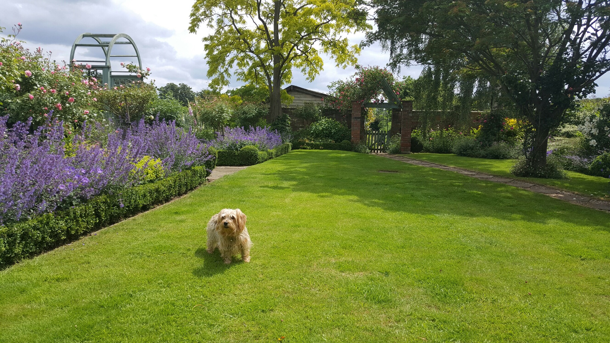 Wheelchair Friendly Home Houses for Rent in Newmarket