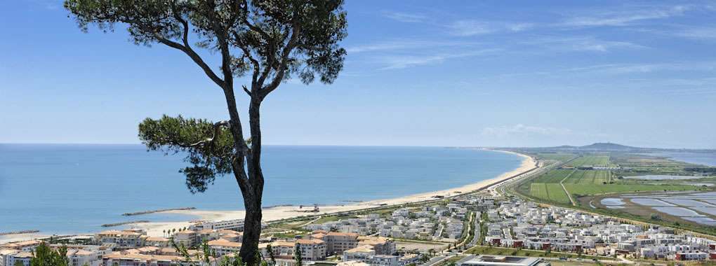 La Cabane Du Pecheur Guesthouses For Rent In Sete Occitanie France