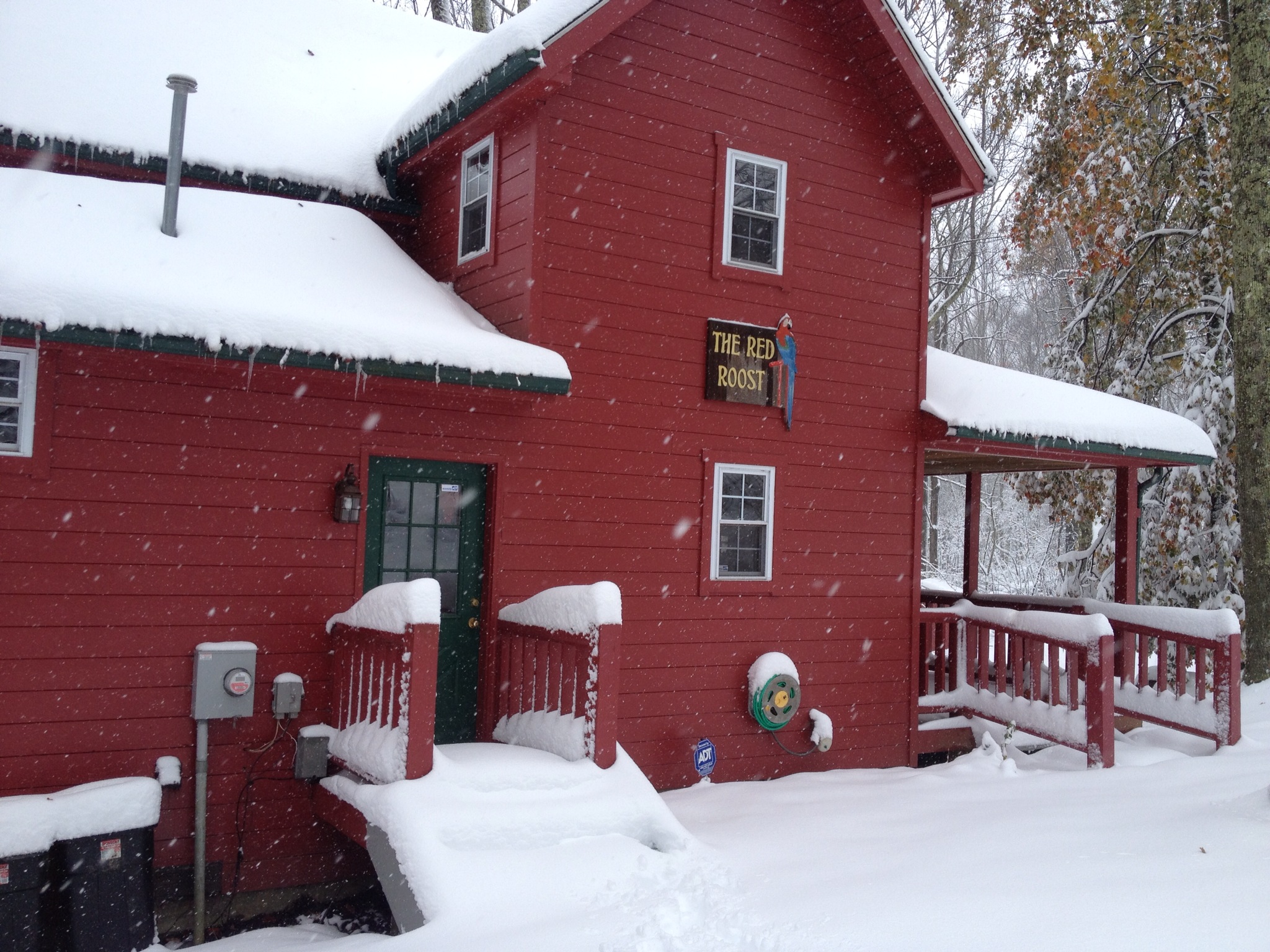 New Remote Work space RED ROOST Fayetteville Houses for Rent in