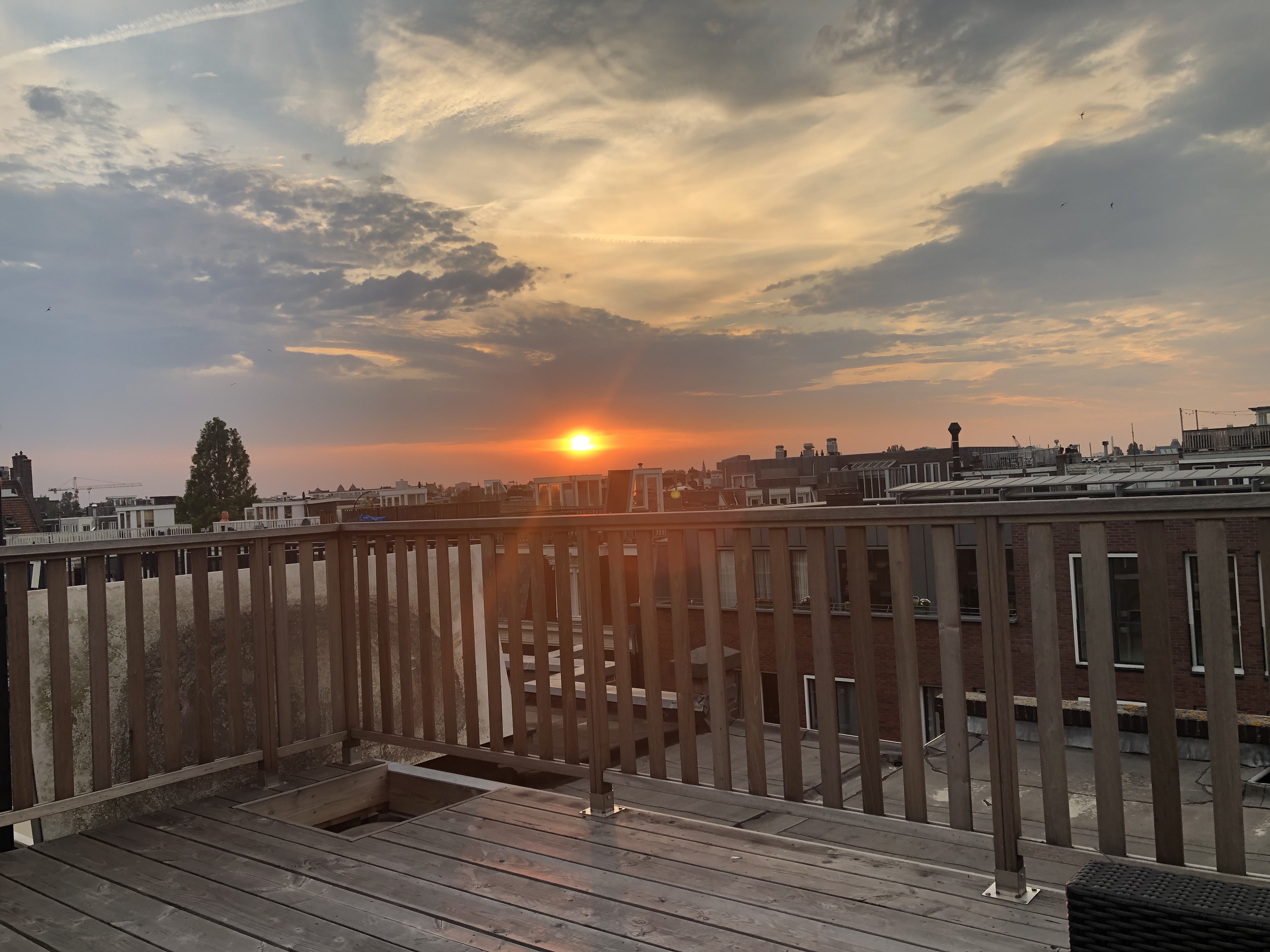 Cozy apartment in de Pijp with rooftop (and cat) — Amsterdam stay