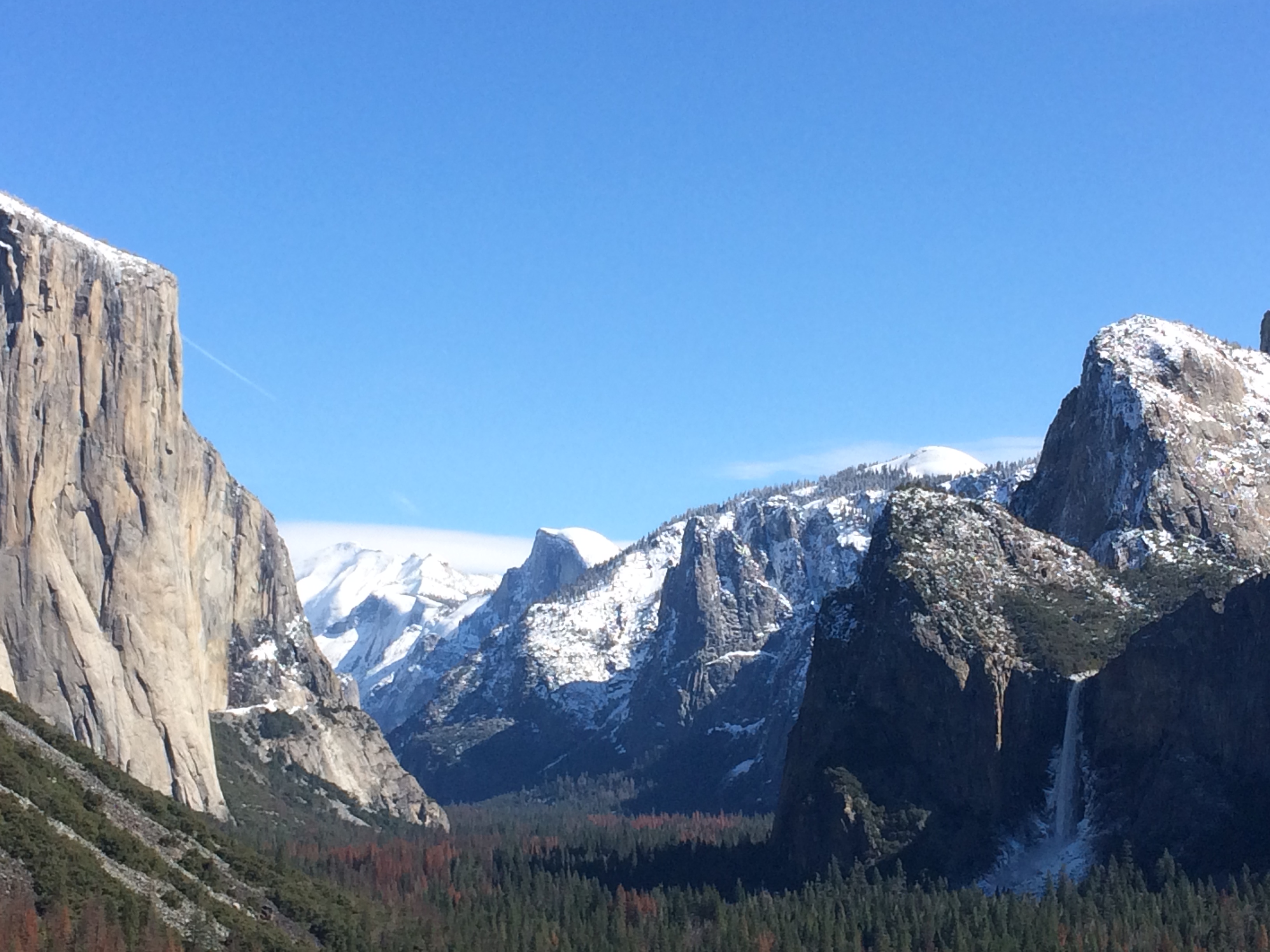 Tiny luxury near Yosemite - Tiny houses for Rent in Ahwahnee Tiny luxury near Yosemite - Tiny houses for Rent in Ahwahnee