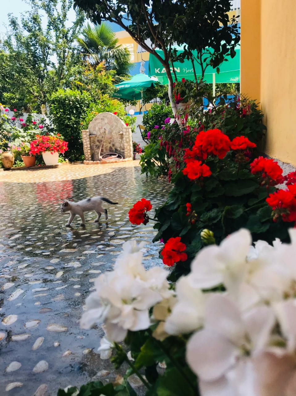 Comfy Apartment!6 Persons!Private Kitchen &Parking