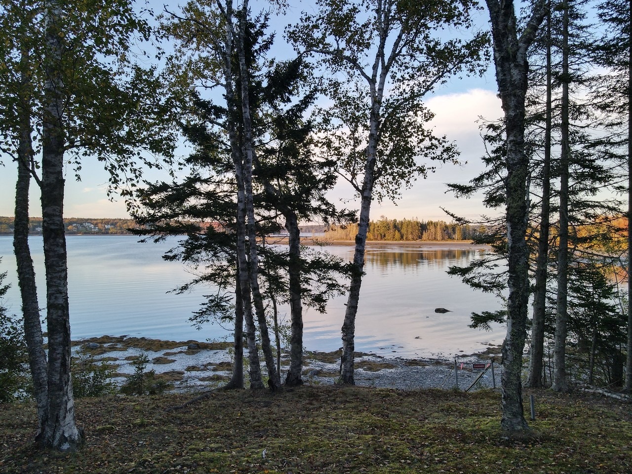 Raccoon Cove Hideaway Houses for Rent in Lamoine, Maine, United States Airbnb