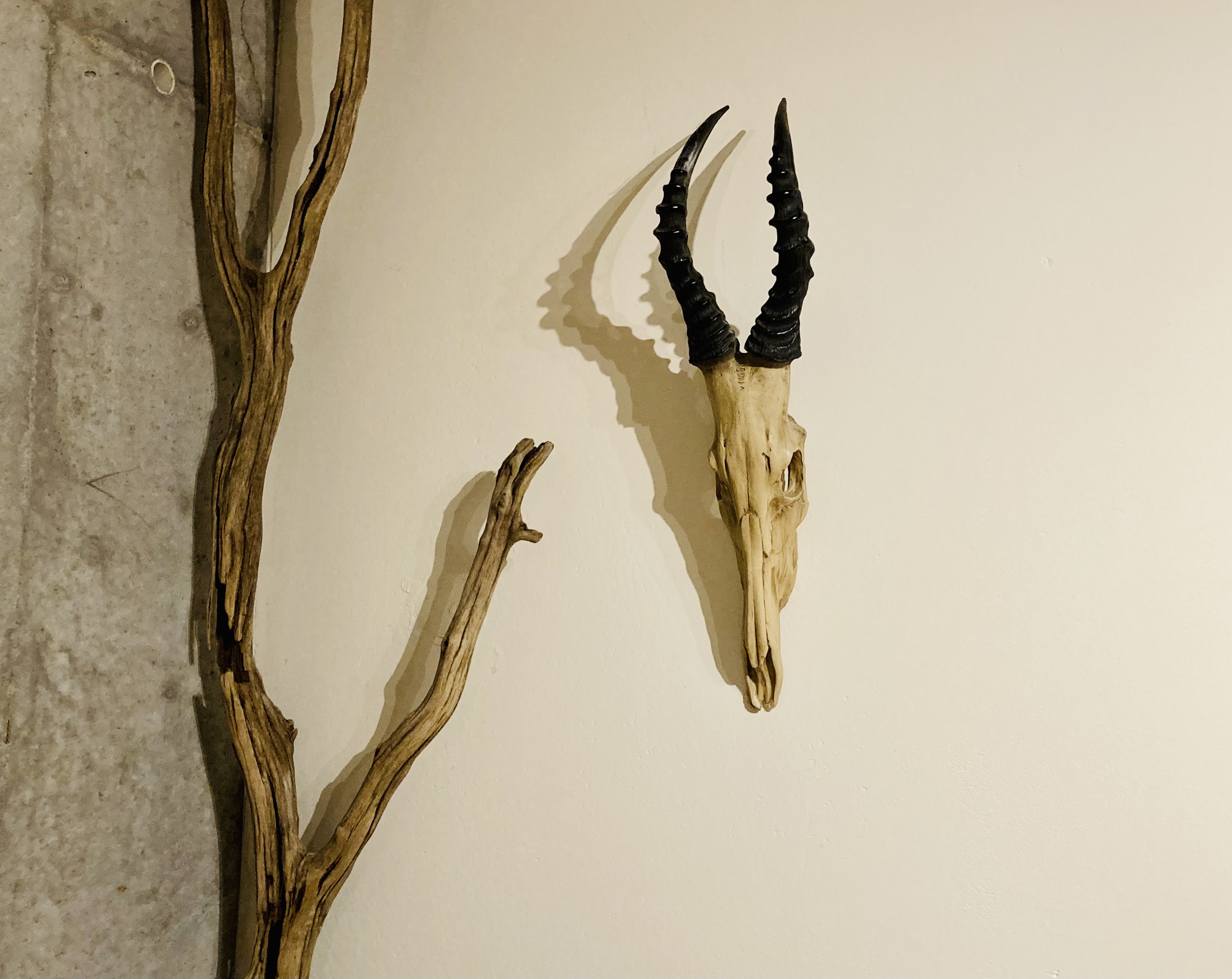 urban | king | parking | kitchen | in town | art