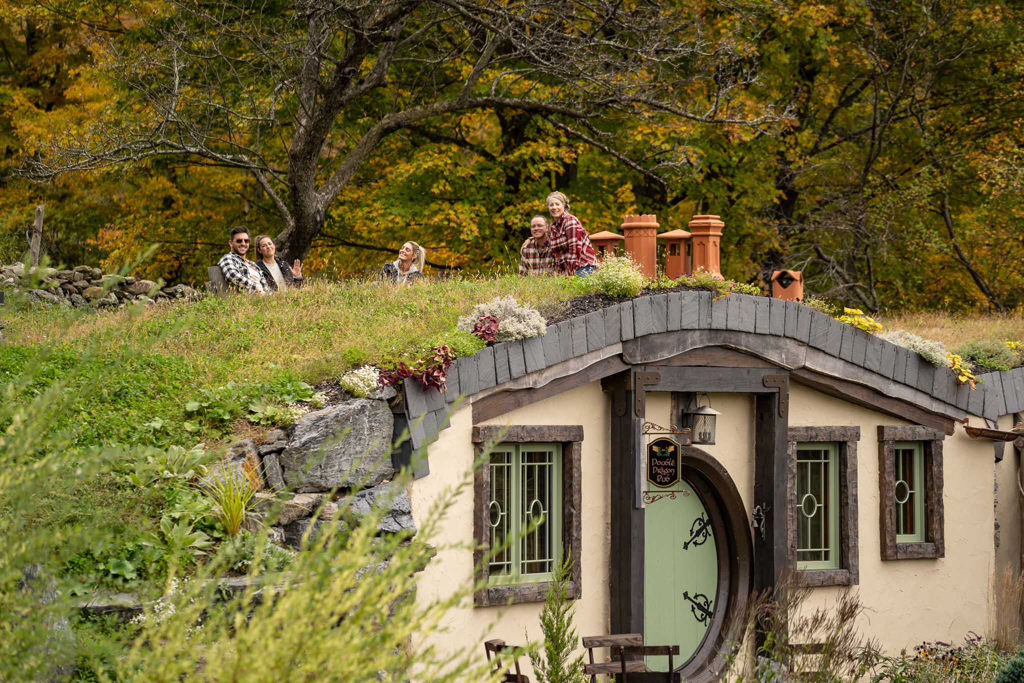 A HobbitHome Tucked In A Vermont Grassy Hillside Earth houses for Rent in Middletown Springs