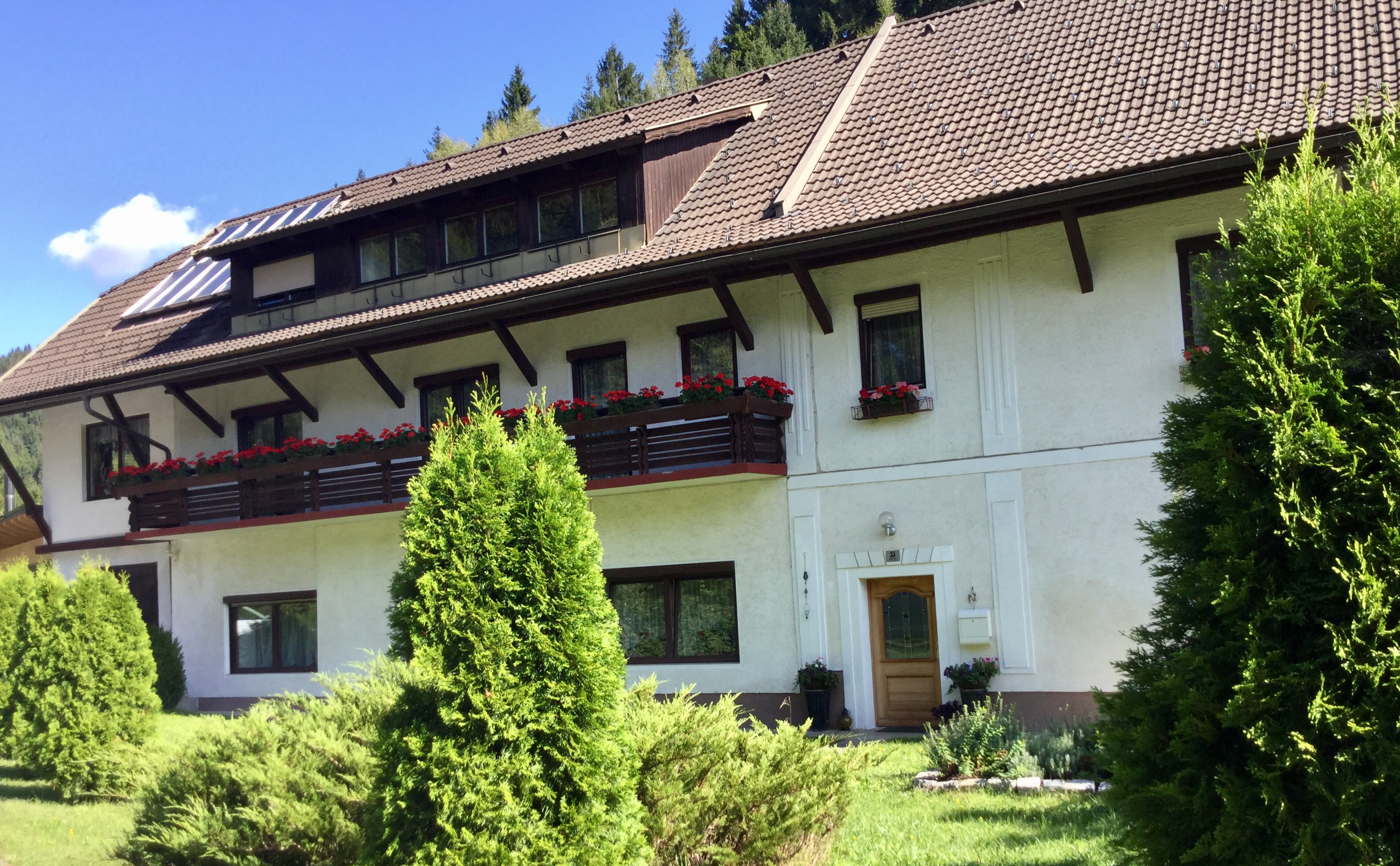 Partnersuche 50 plus aus ntsch im gailtal, Reale sex kontakte in thringen. Bekanntschaft aus wrdern. Anzeigen bekanntschaften aus hartkirchen. Partnersuche 50 plus aus ntsch im gailtal - Partnersuche meine