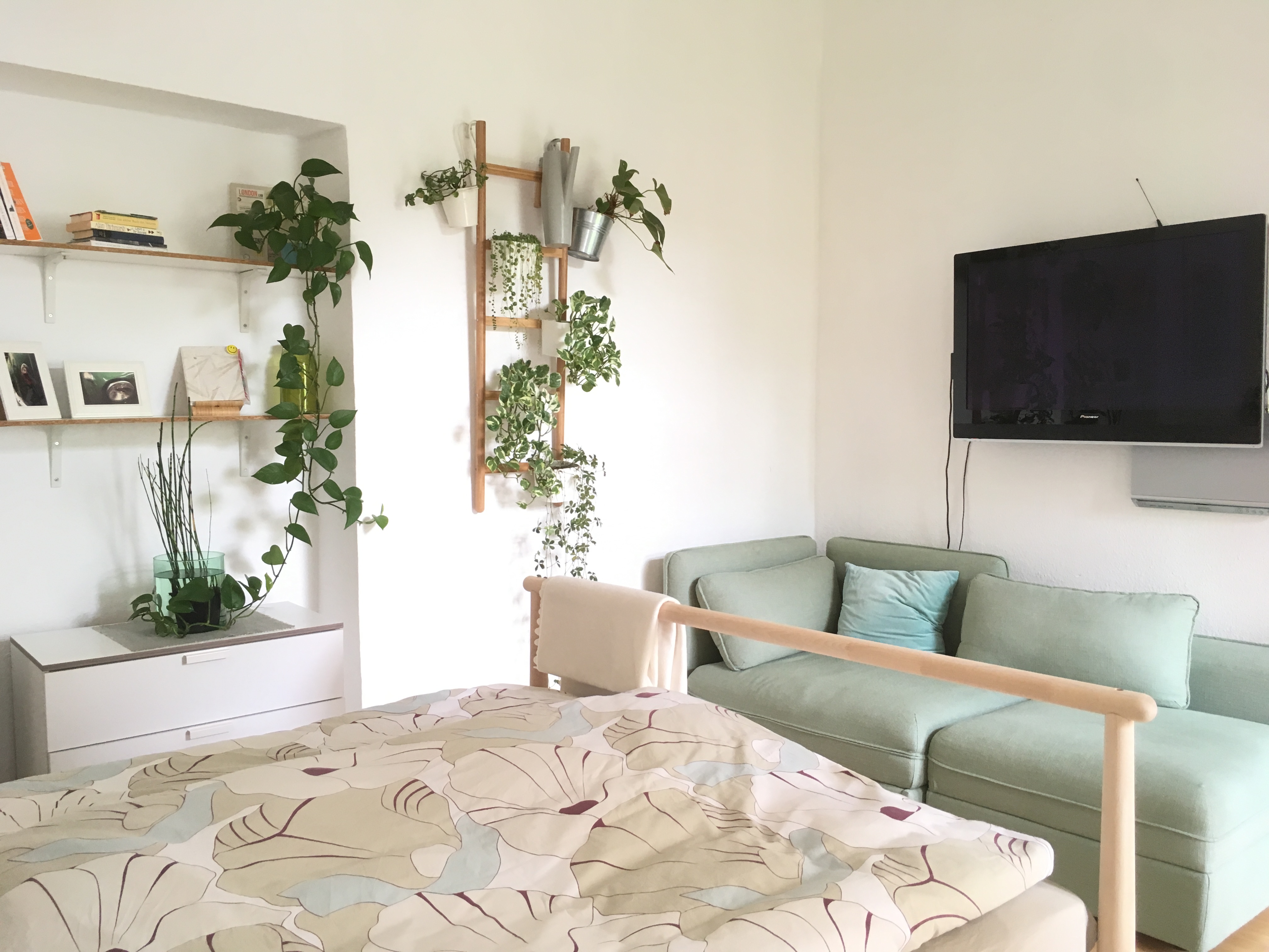 Grüne Oase - Sonnenwohnung mit Balkon im Zentrum - Wohnungen zur Miete