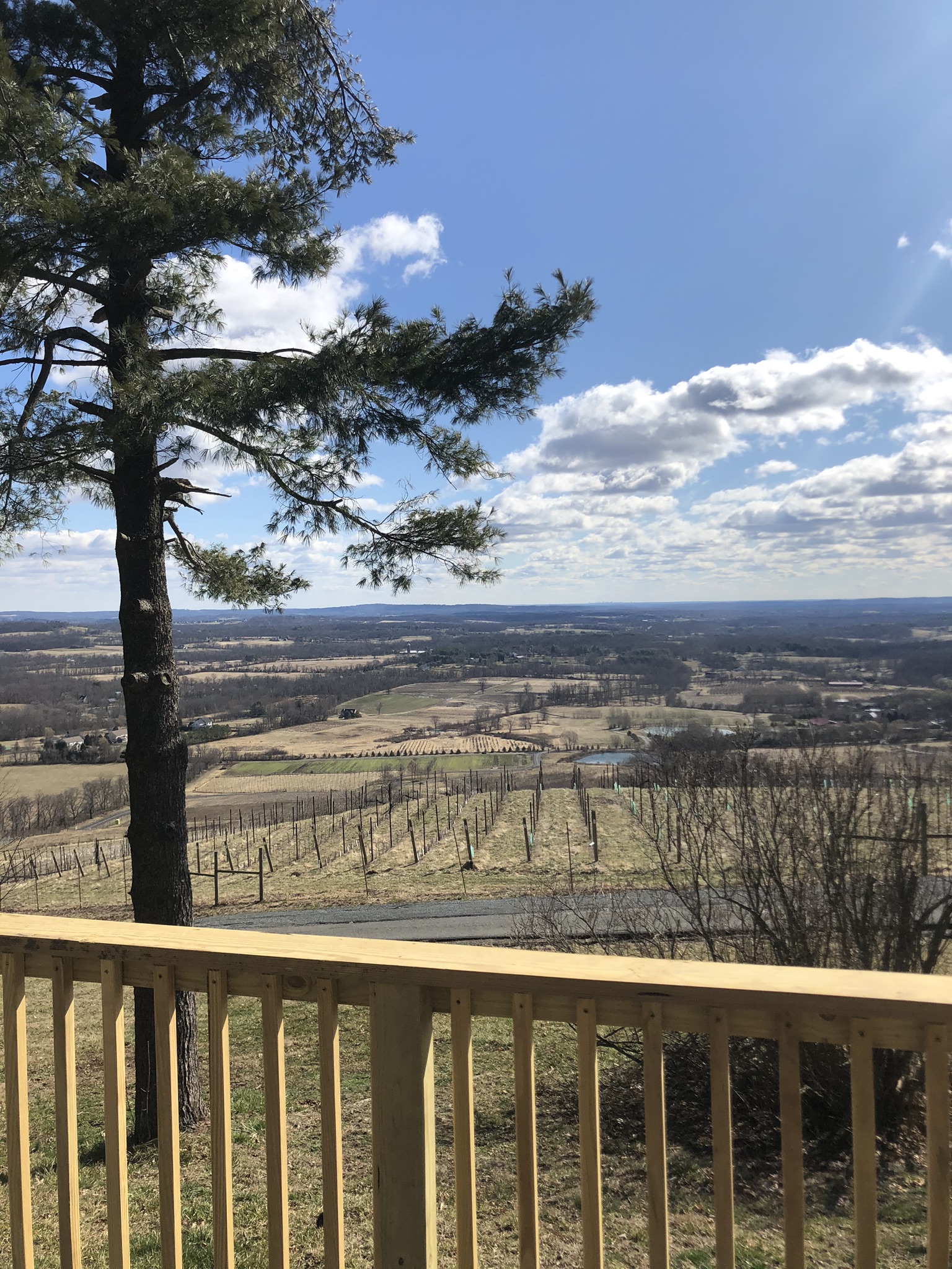 Brews & Views Cottage at Dirt Farm Brewing Cottages for Rent in