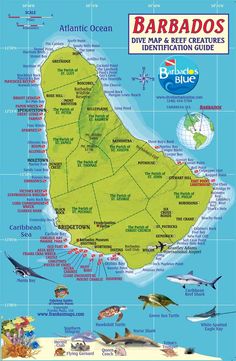 Sunset Crest Barbados Map Relaxing And Fun Sunset Crest #46 - Flats For Rent In Holetown, Barbados -  Airbnb