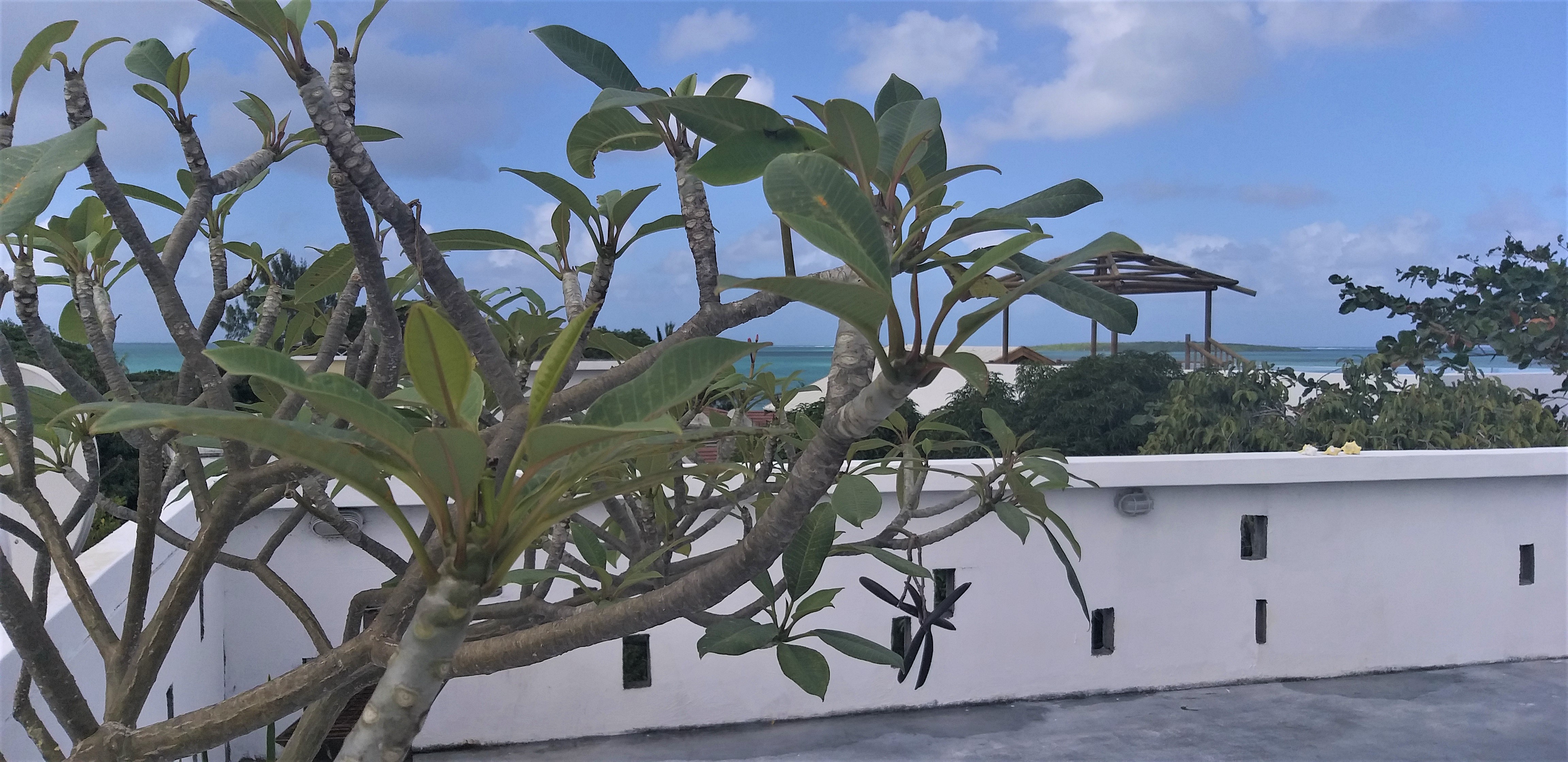 Apartment Mer Cote Bleue Mahebourg