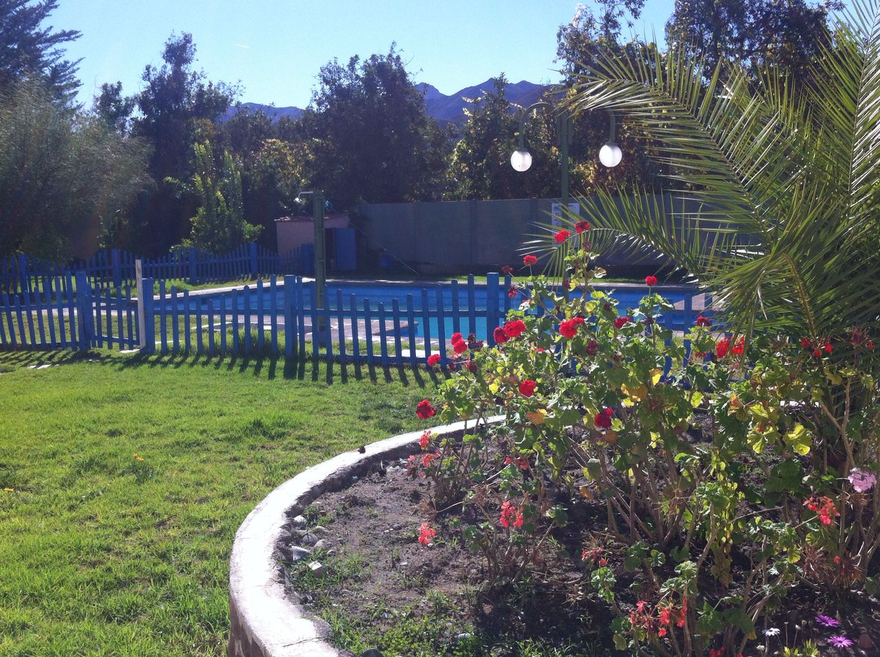 Apartment in the heart of Valle del Elqui