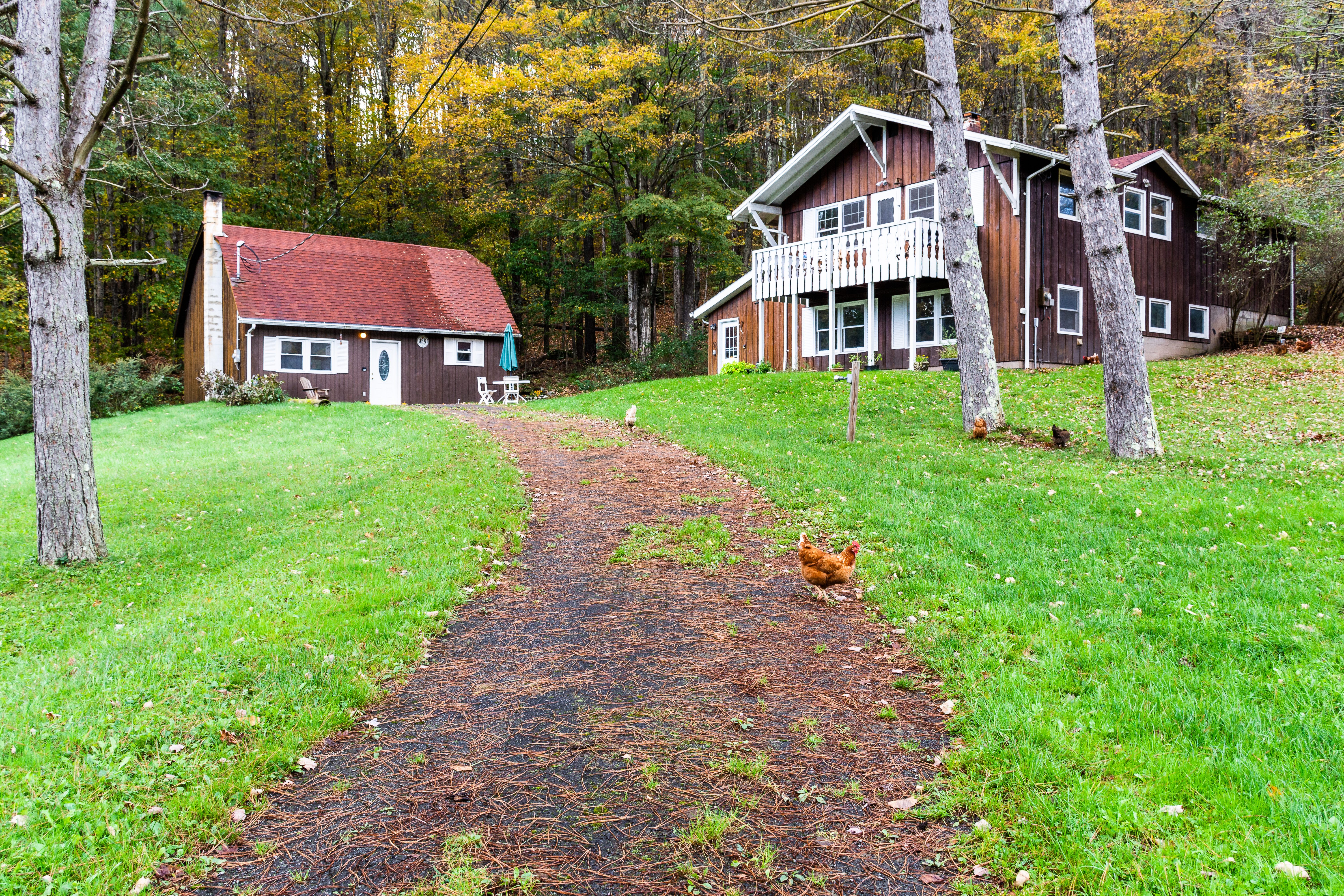 The Little House