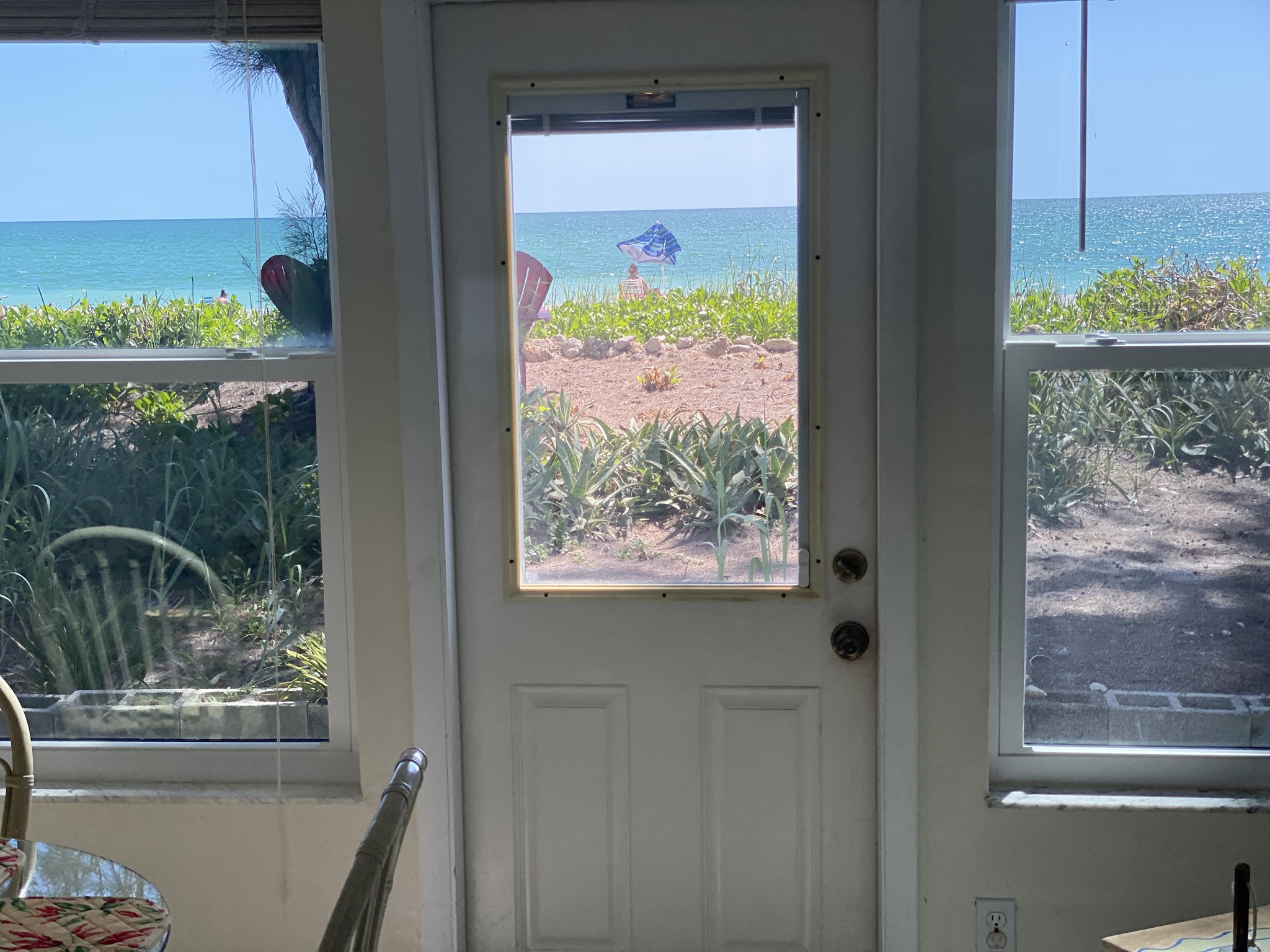 Sand Dollar Hidden Gem on Englewood Beach