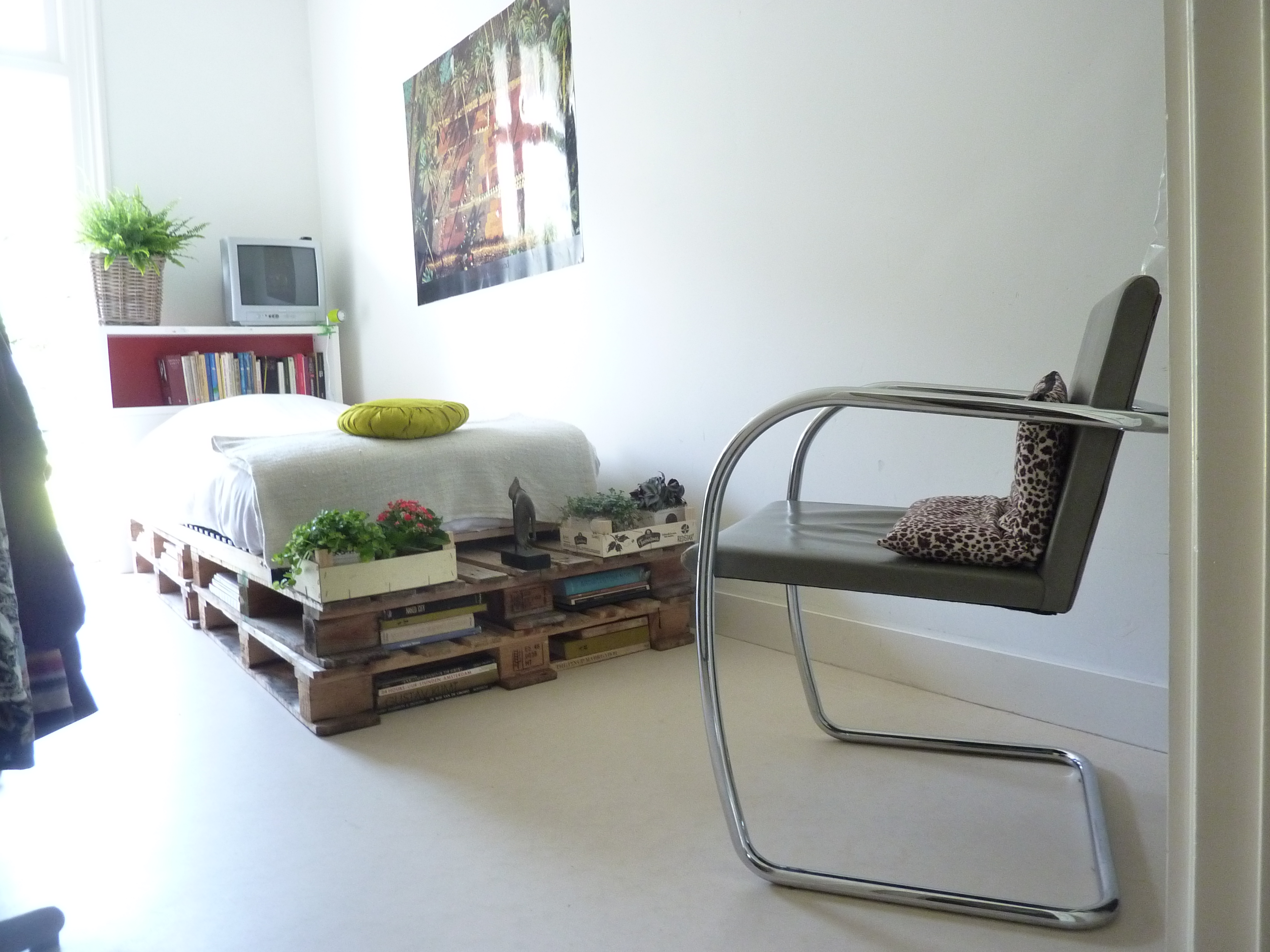 Cosy single room with a view — Amsterdam stay