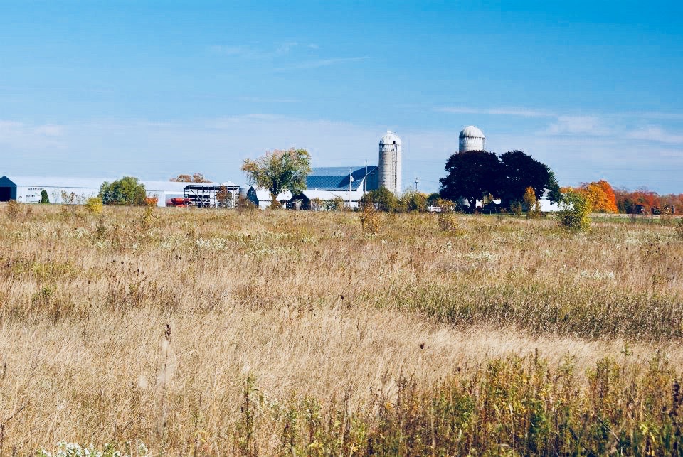 A True Farmhouse Experience