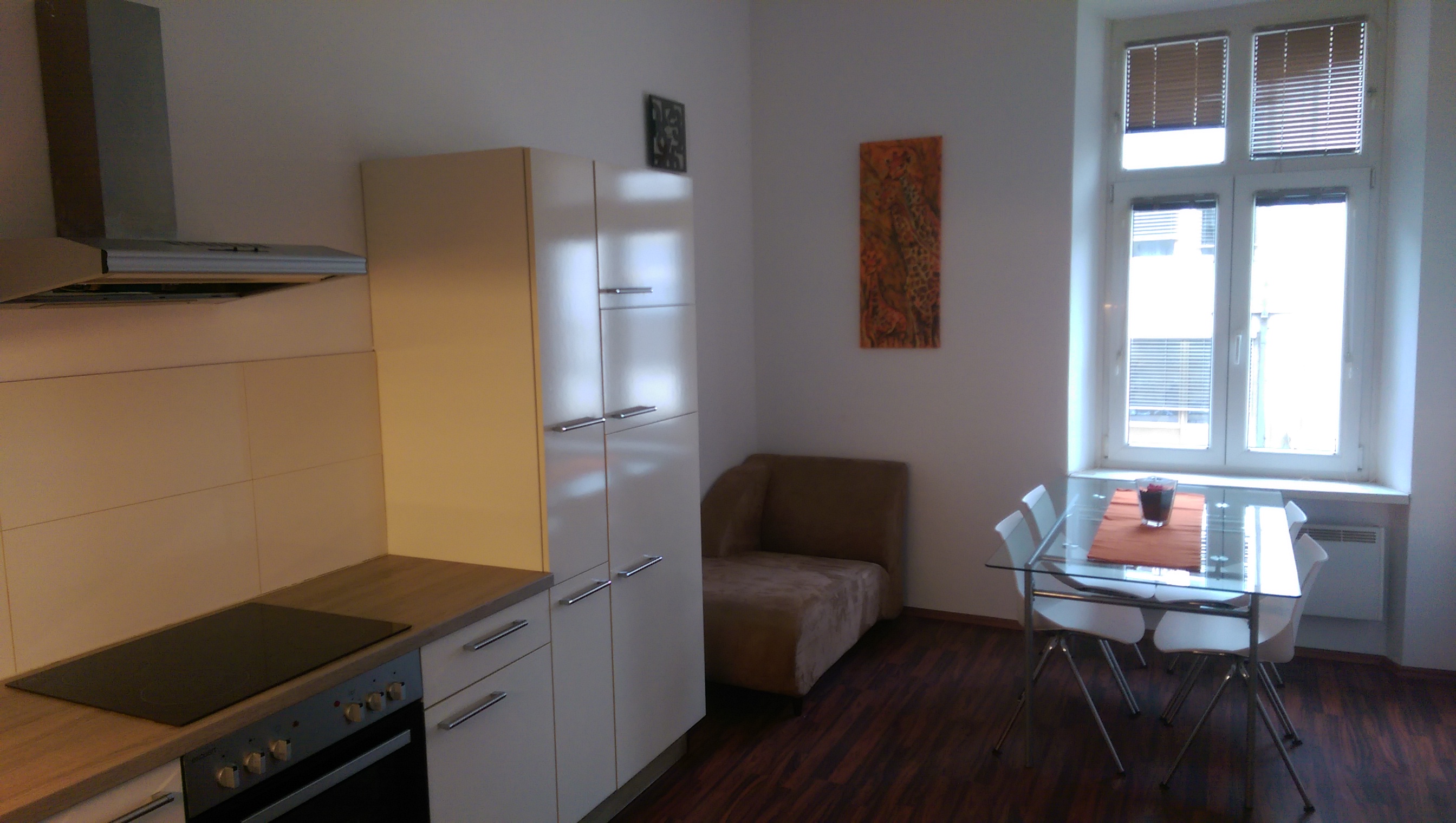 Nice & Lovely in old centre Apartments for Rent in Center, Upravna