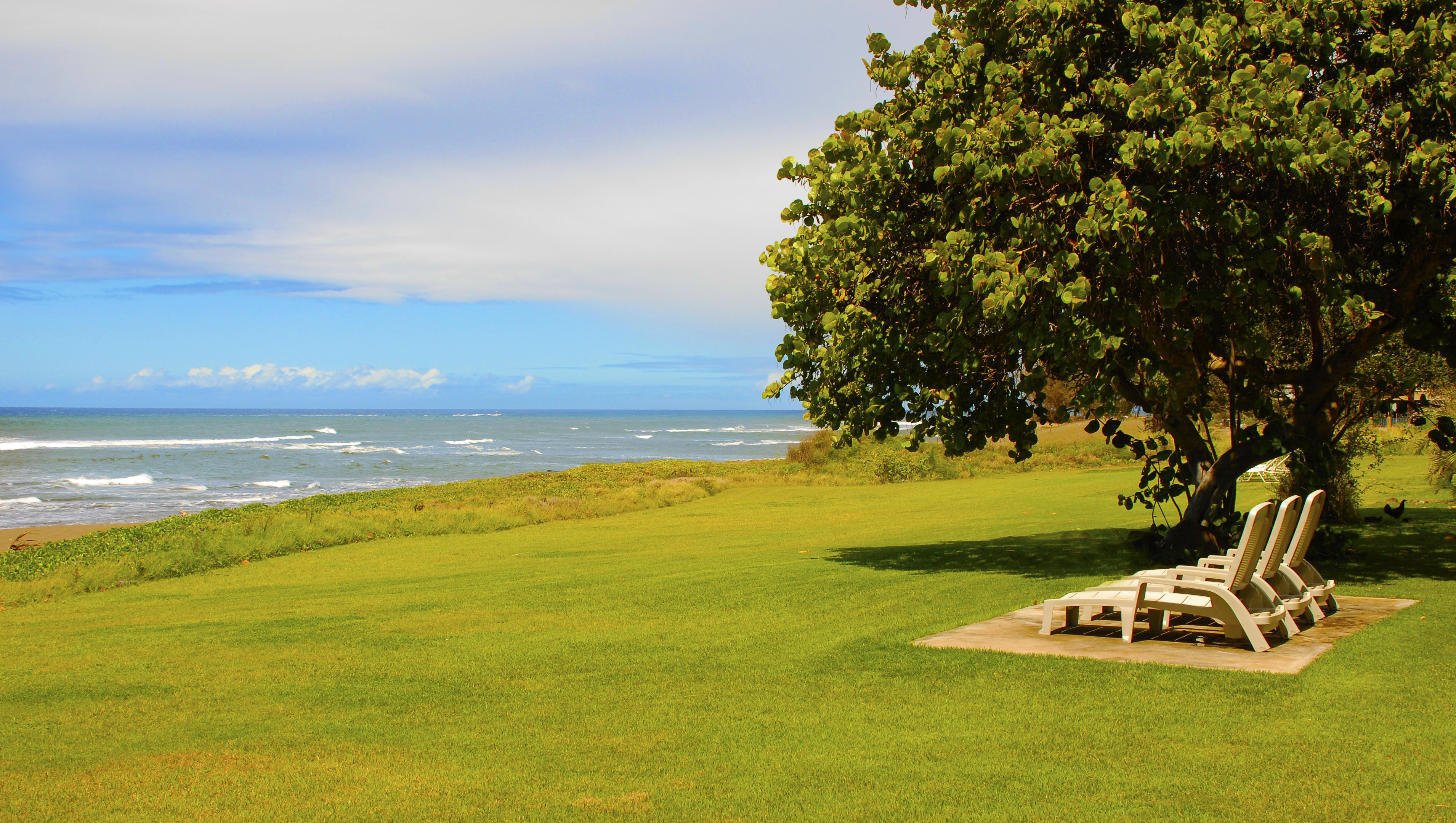 Ocean Front Kimsey Beach House - Houses for Rent in Kekaha, Hawaii 