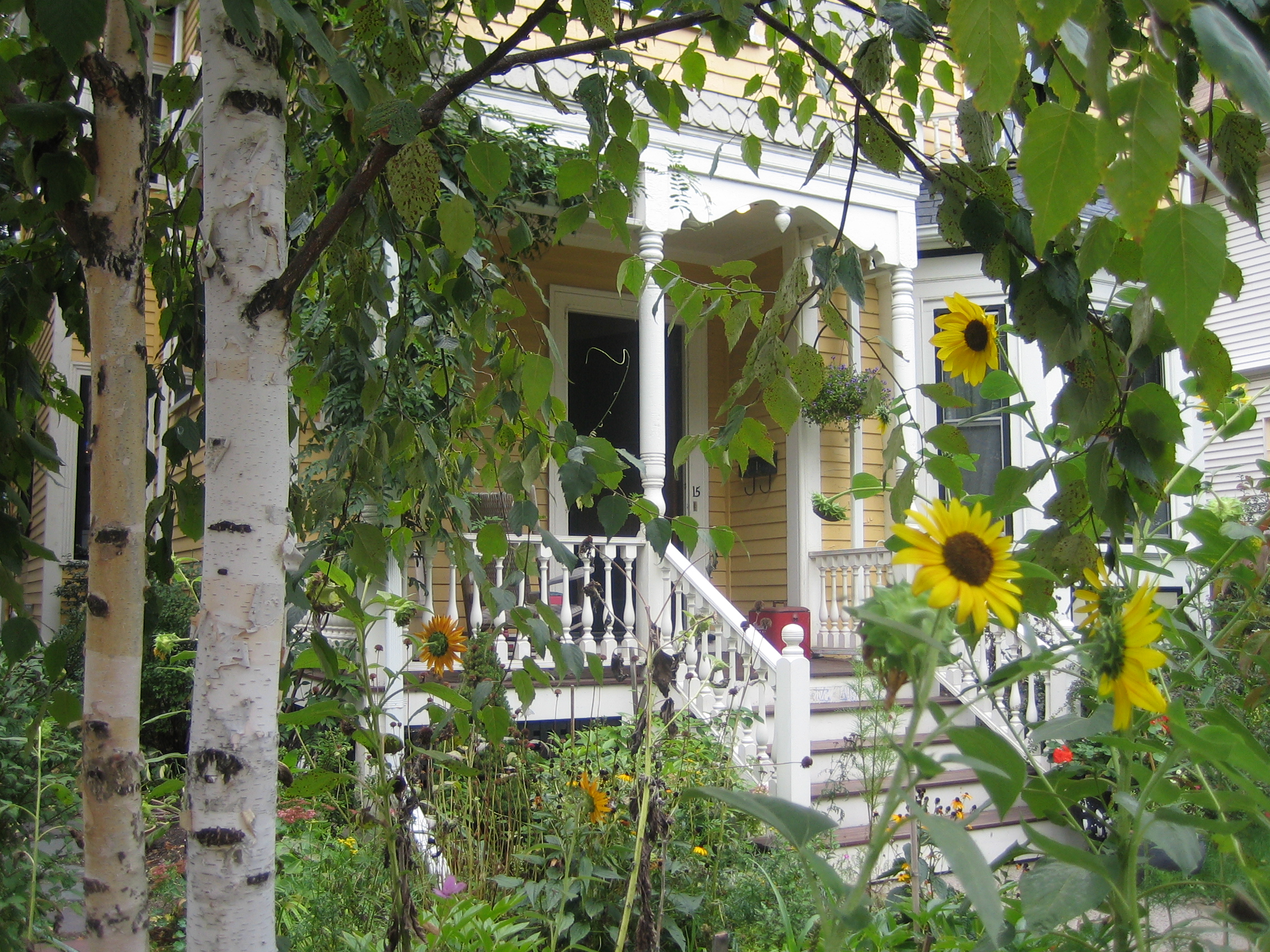 Charming home Away from Home, close to parks