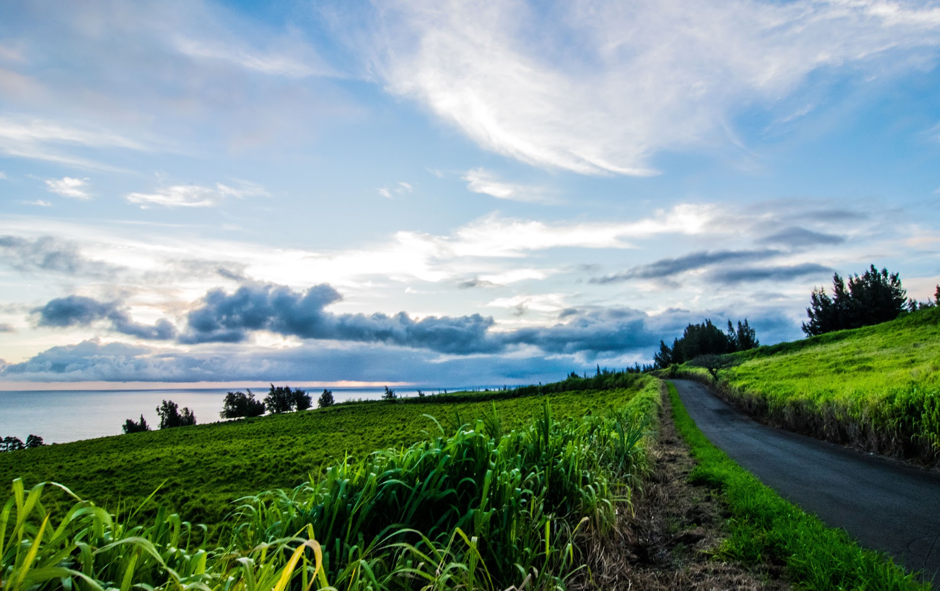 Jo's Hamakua Seaview Getaway Houses for Rent in Paauilo, Hawaii