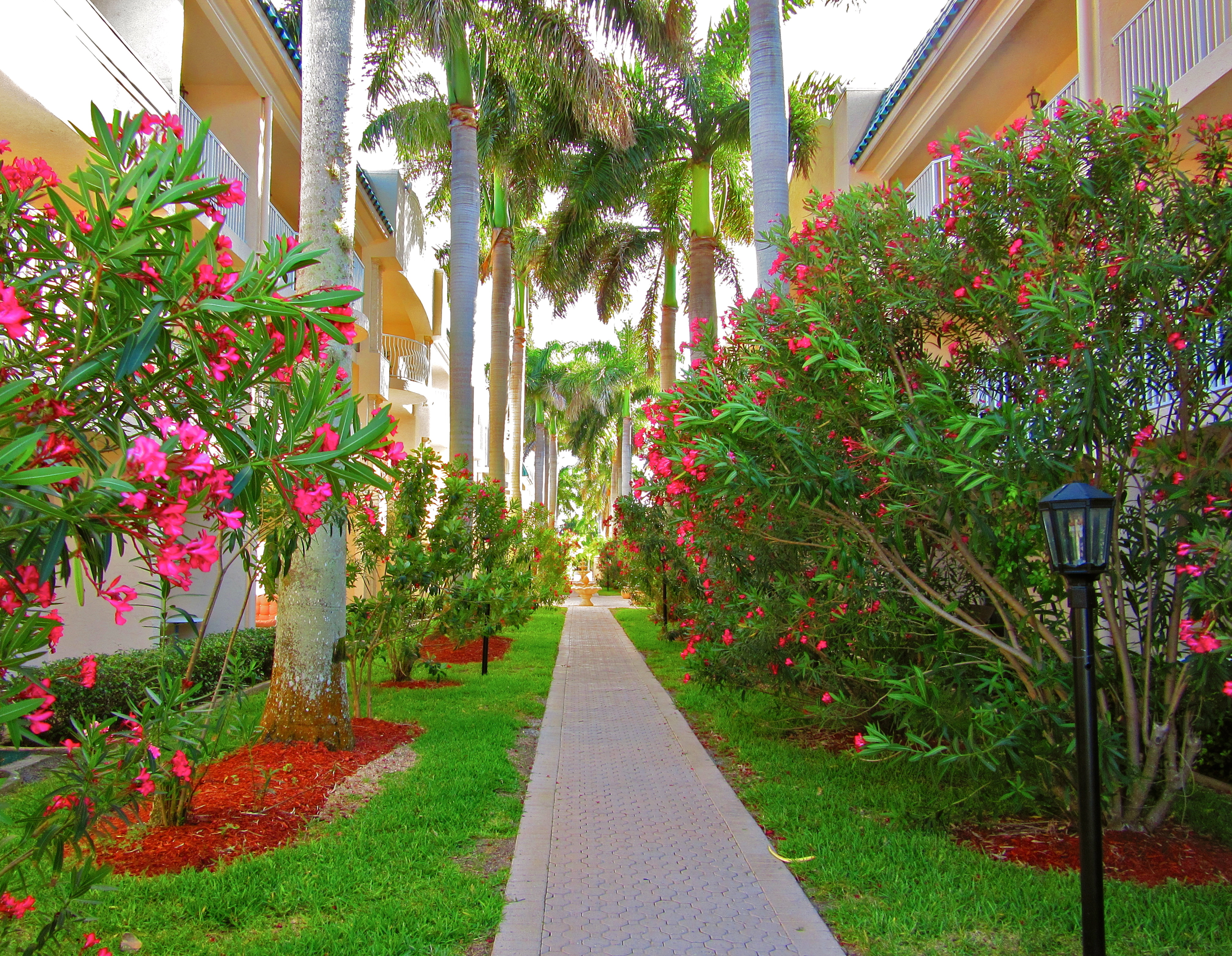 Siesta Key Serenity At The Palm Bay Club