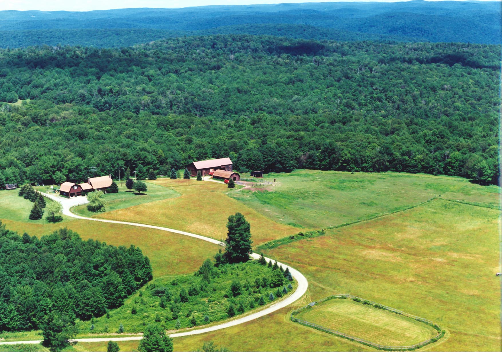 Secluded 160 Acre mountain top home Houses for Rent in Susquehanna