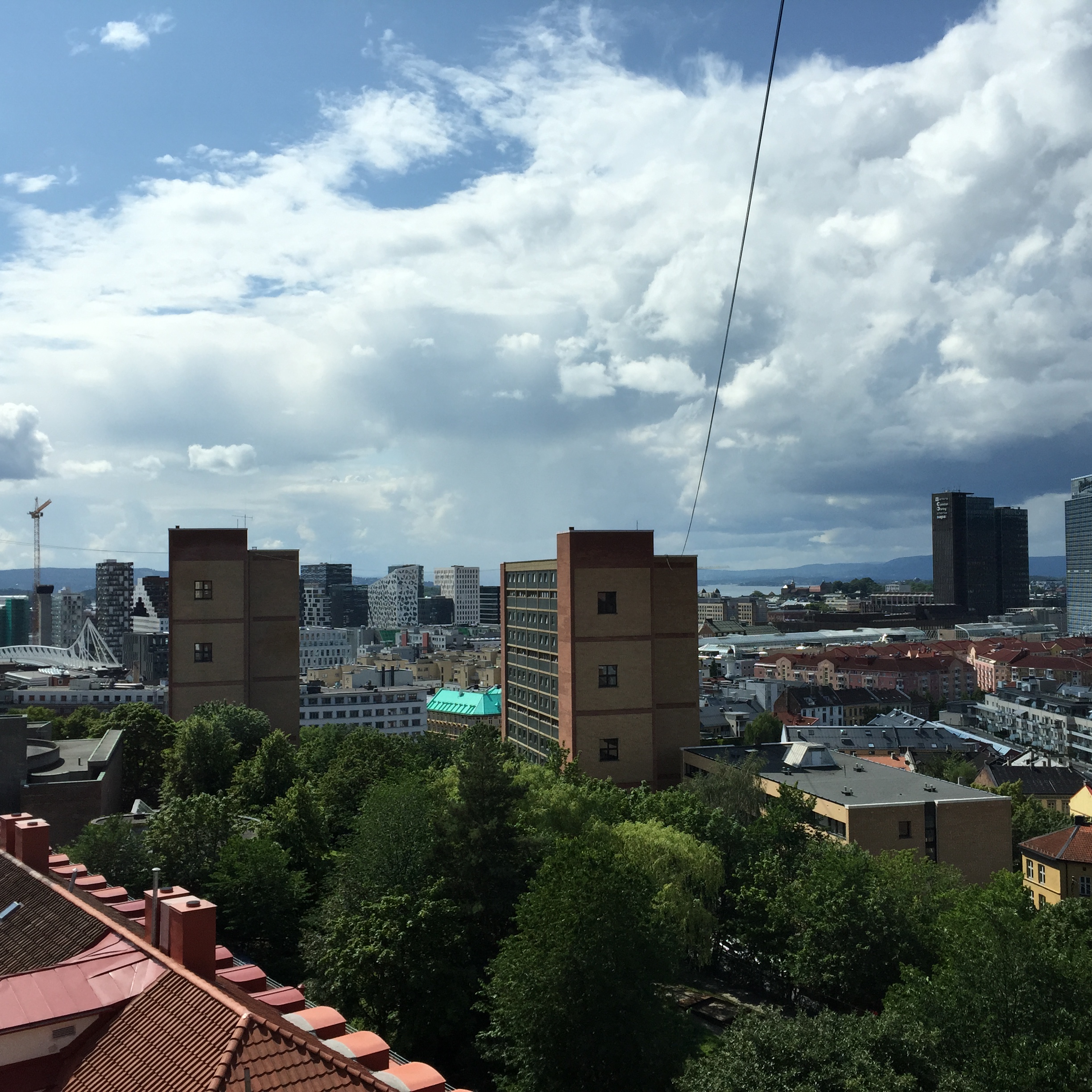 Green view in urban location