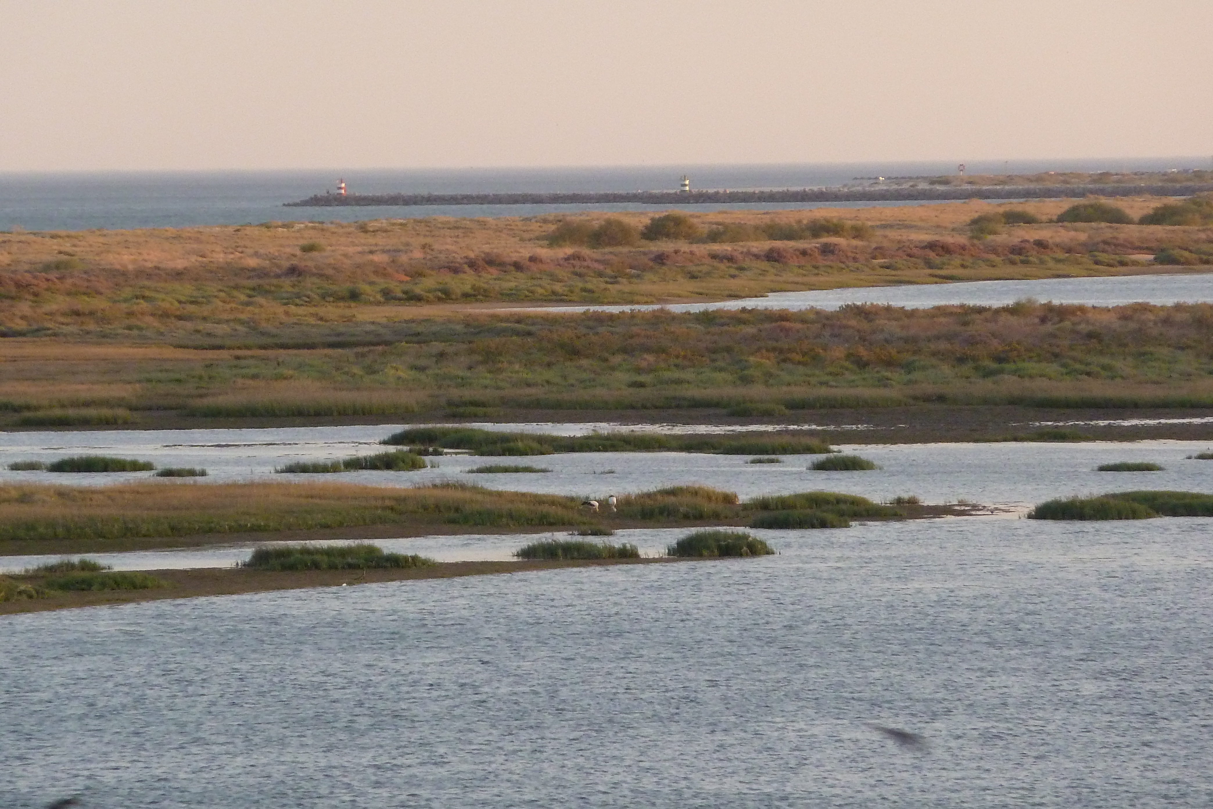 Apartment T0 in front of Ria Formos