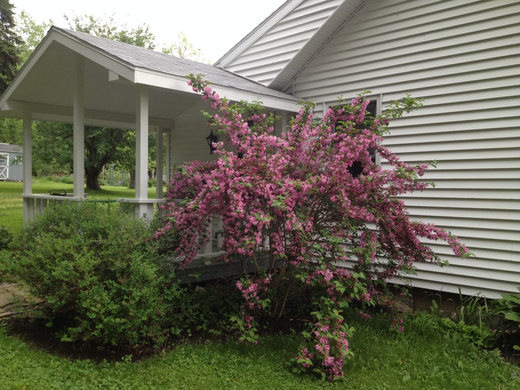 Country cottage Houses for Rent in Lansing, New York, United States