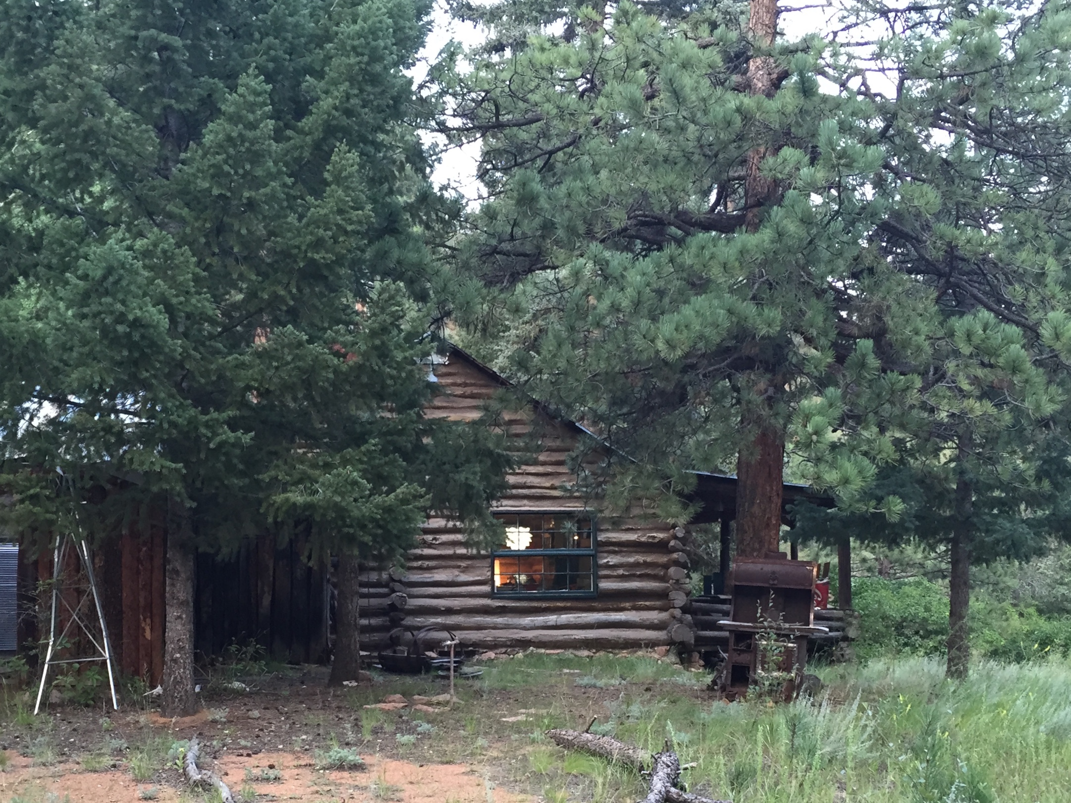 Prospector's cabin in Nat'l Forest Houses for Rent in Woodland Park