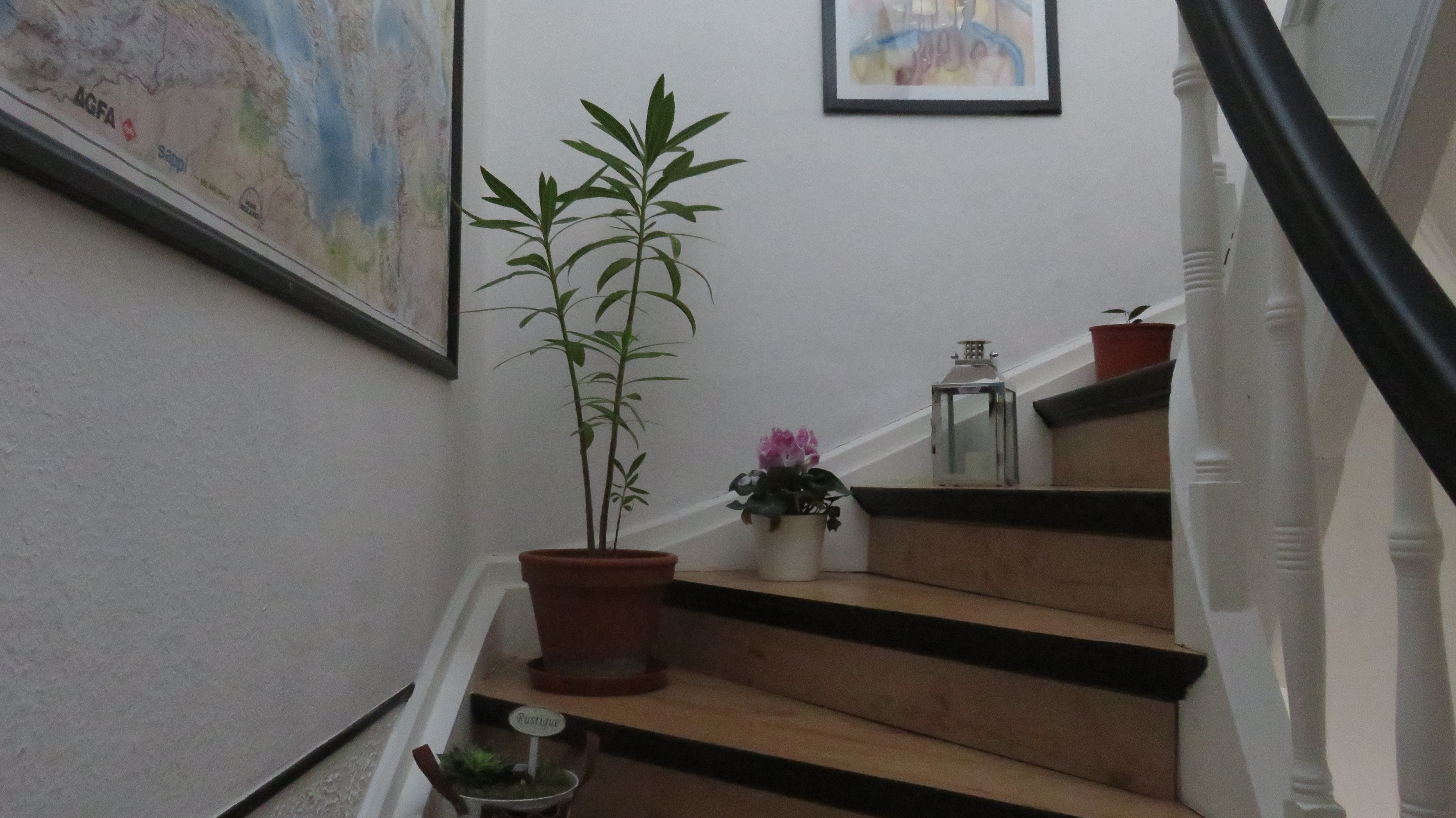 Cozy accommodation for 2 people