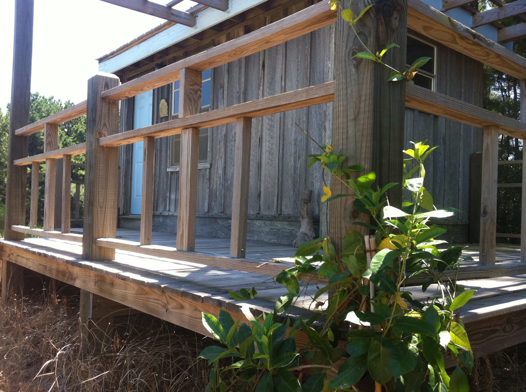 The Bungalow Tiny houses for Rent in Fairhope, Alabama, United States