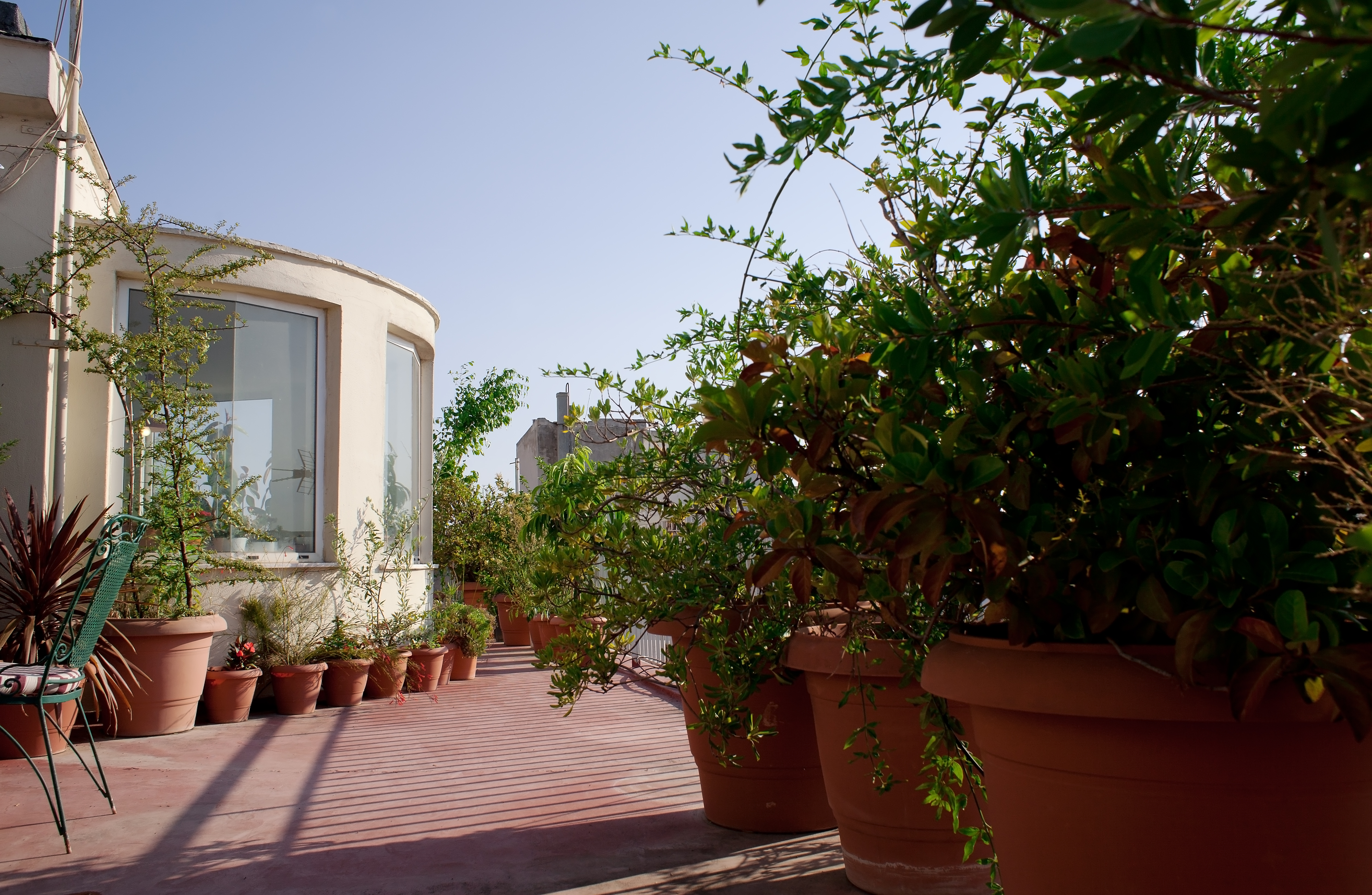 LUSCIOUS ROOF GARDEN IN THE CENTER! in ΜΟΥΣΕΙΟ-ΕΞΑΡΧΕΙΑ-ΝΕΑΠΟΛΗ, Athens