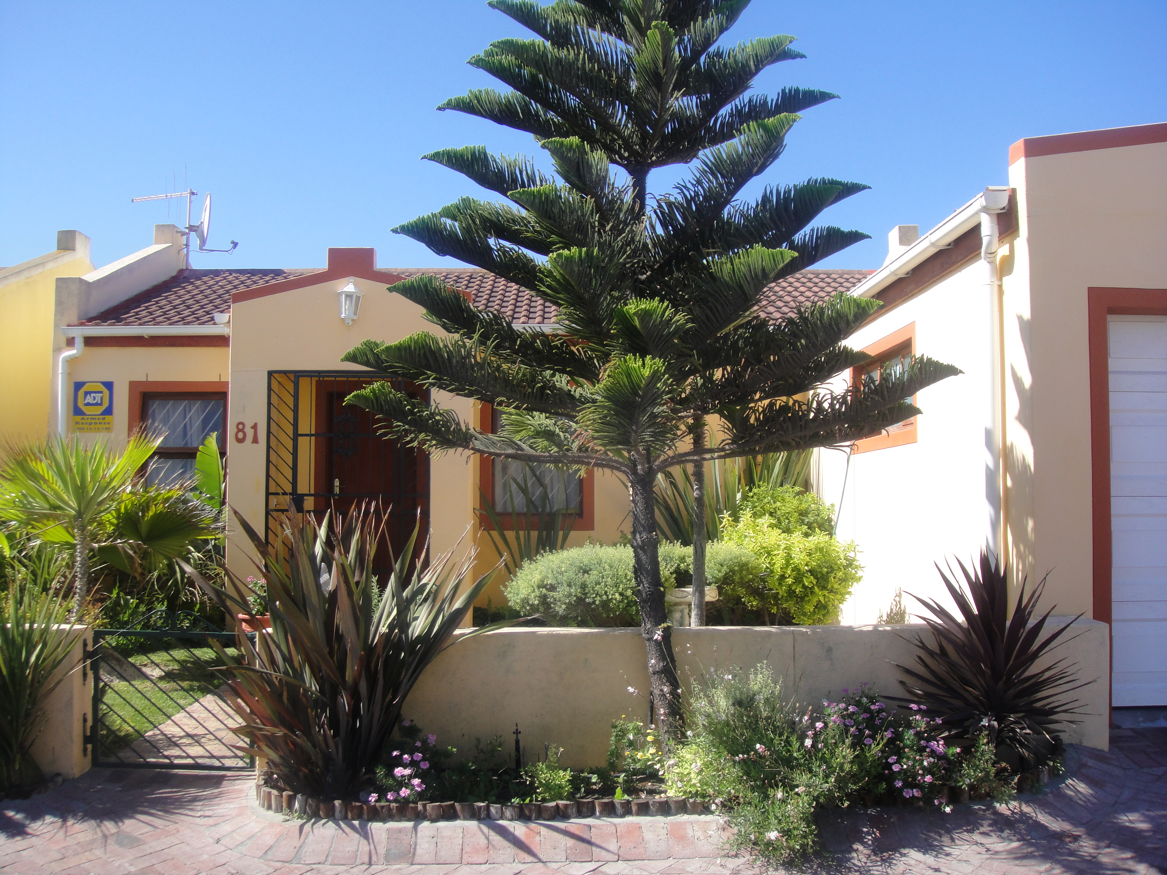 ROOM TO LET in Ward 64, Cape Town