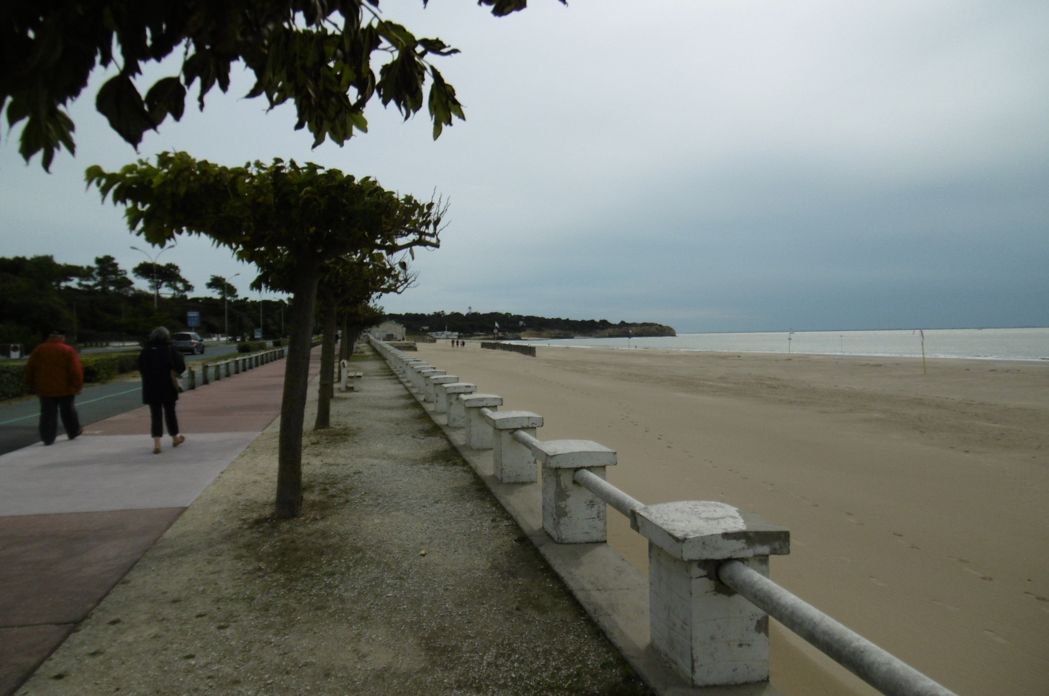 Pleasant 2 rooms on the ground floor facing the sea