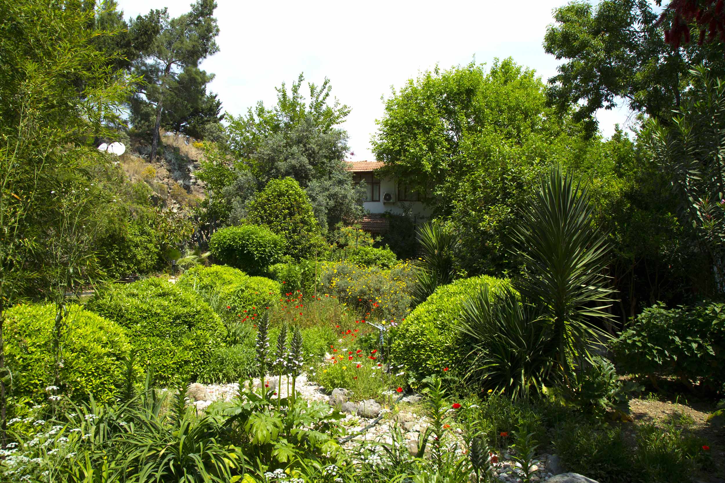 Nice Room in Mediterranean Garden Çıralı şehrinde Kiralık Butik
