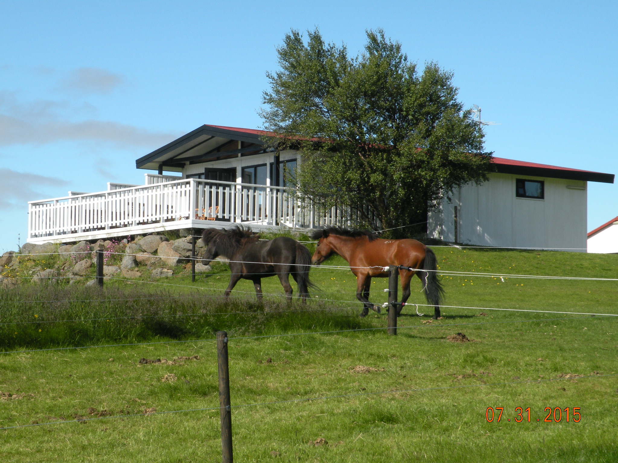 Horse Farm Airbnb Florida - 0mks3yy