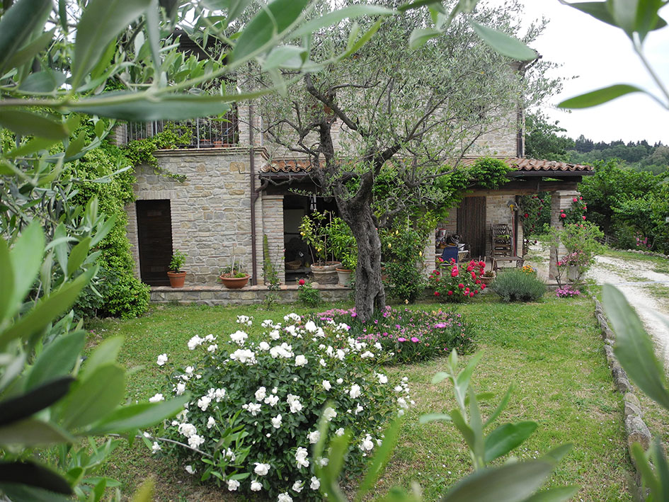 Casa degli Ulivi Houses for Rent in Castelplanio , Ancona, Italy Airbnb