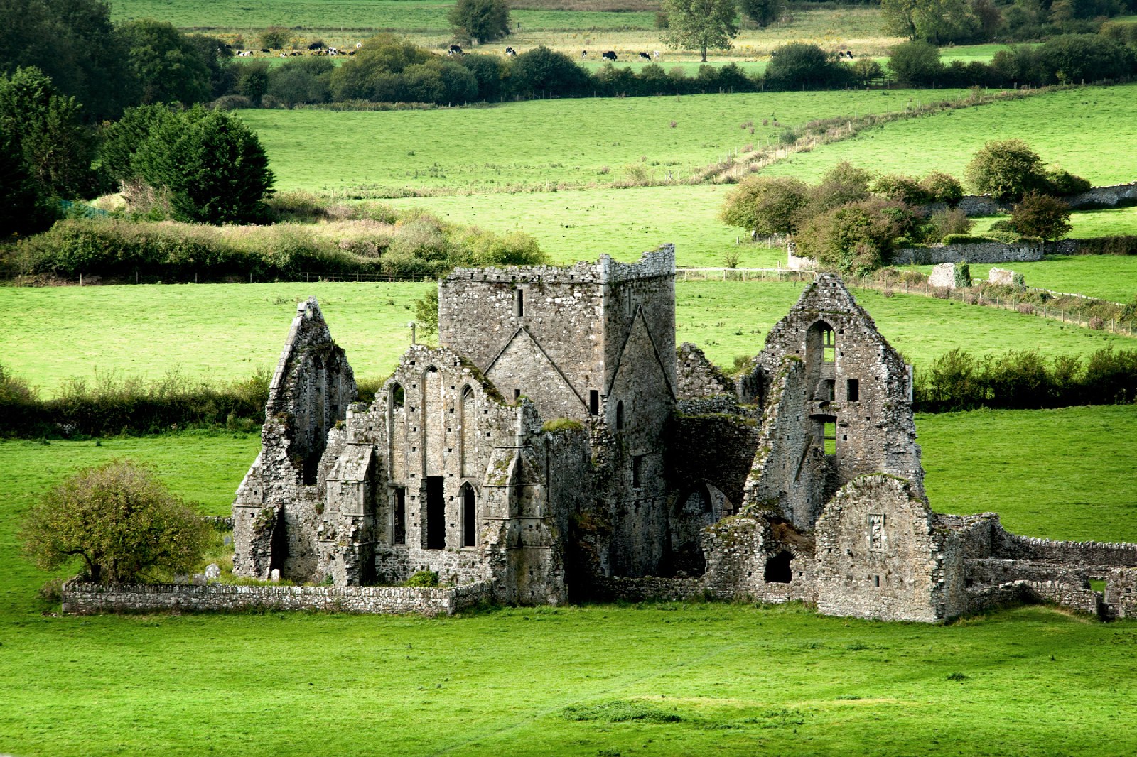 Cashel, Tipperary, Ireland 2 guests 1 bedroom 1 bed 1 private bathroom years now and our main policy is to provide a genuine service to our guests. Country Hse, 6k ROCK CASHEL (+ free entry to Rock) - Airbnb