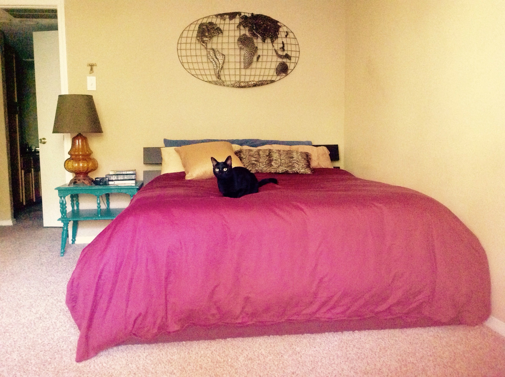 COZY 1 BEDROOM IN NORTH DALLAS in District 11, Dallas