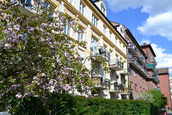 Charming Sagene near city/woods in Sagene, Oslo